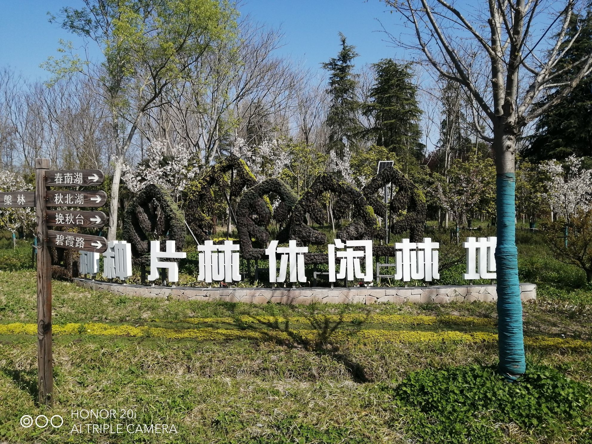 庙镇绿地公园旅行图片 1