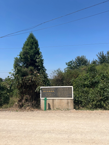 建宁古城遗址旅行图片 1