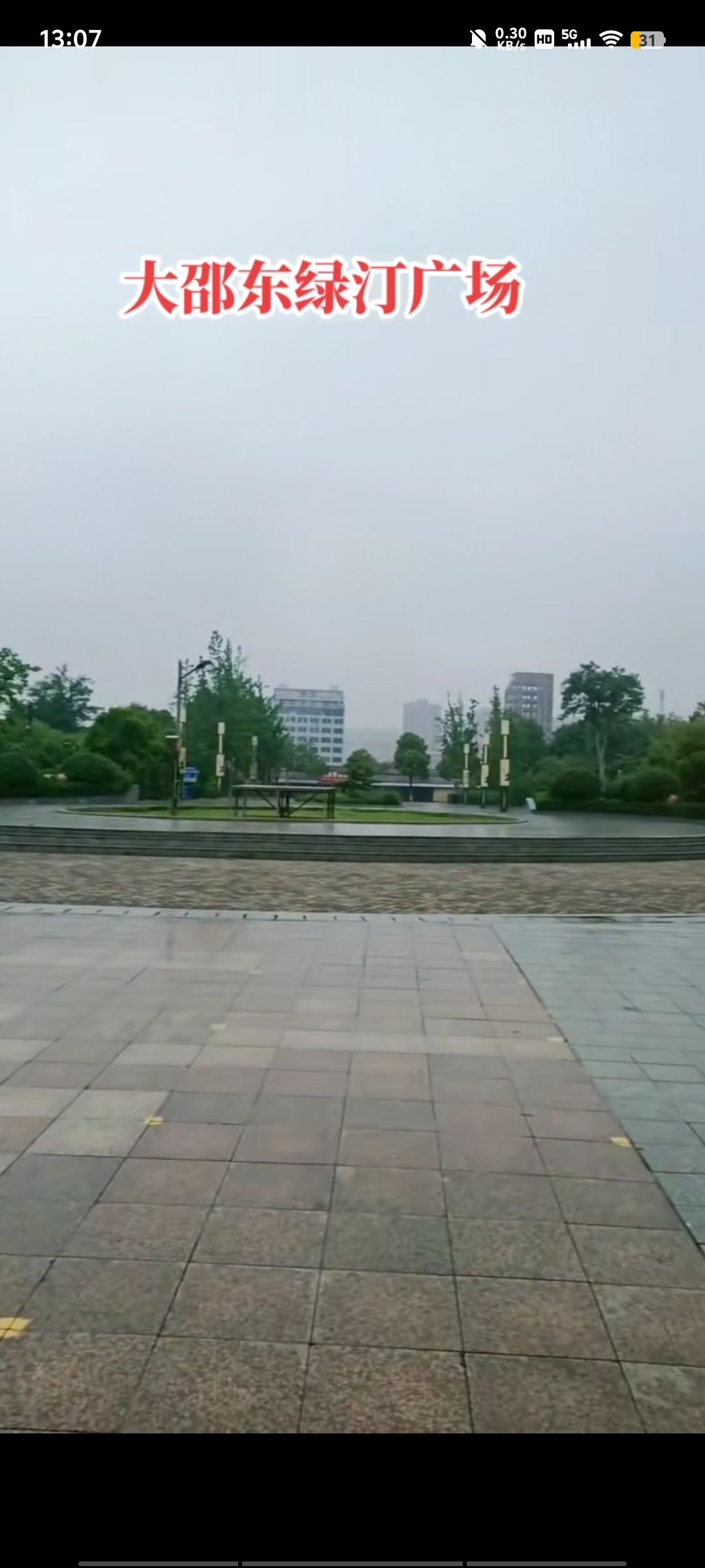 绿汀广场旅行图片 1