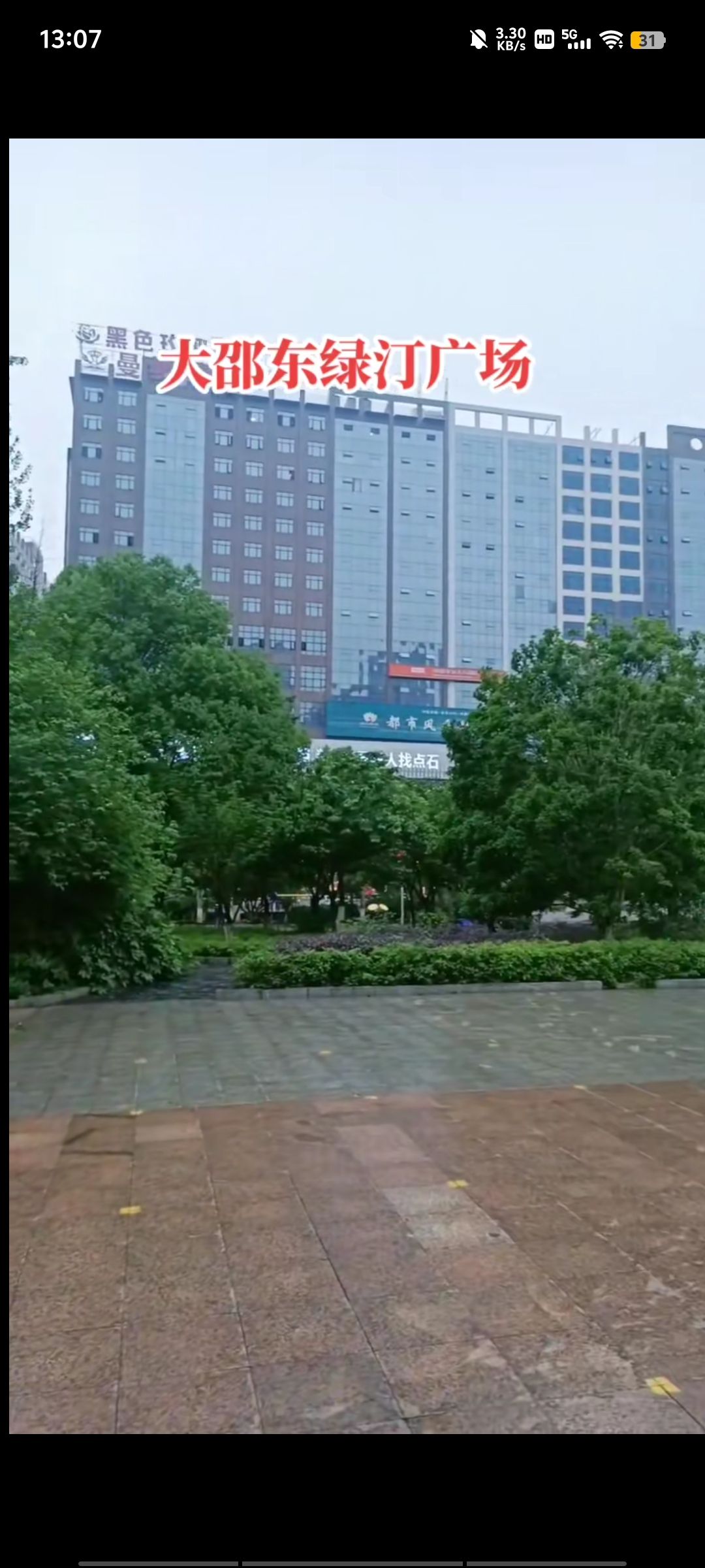 绿汀广场旅行图片 2