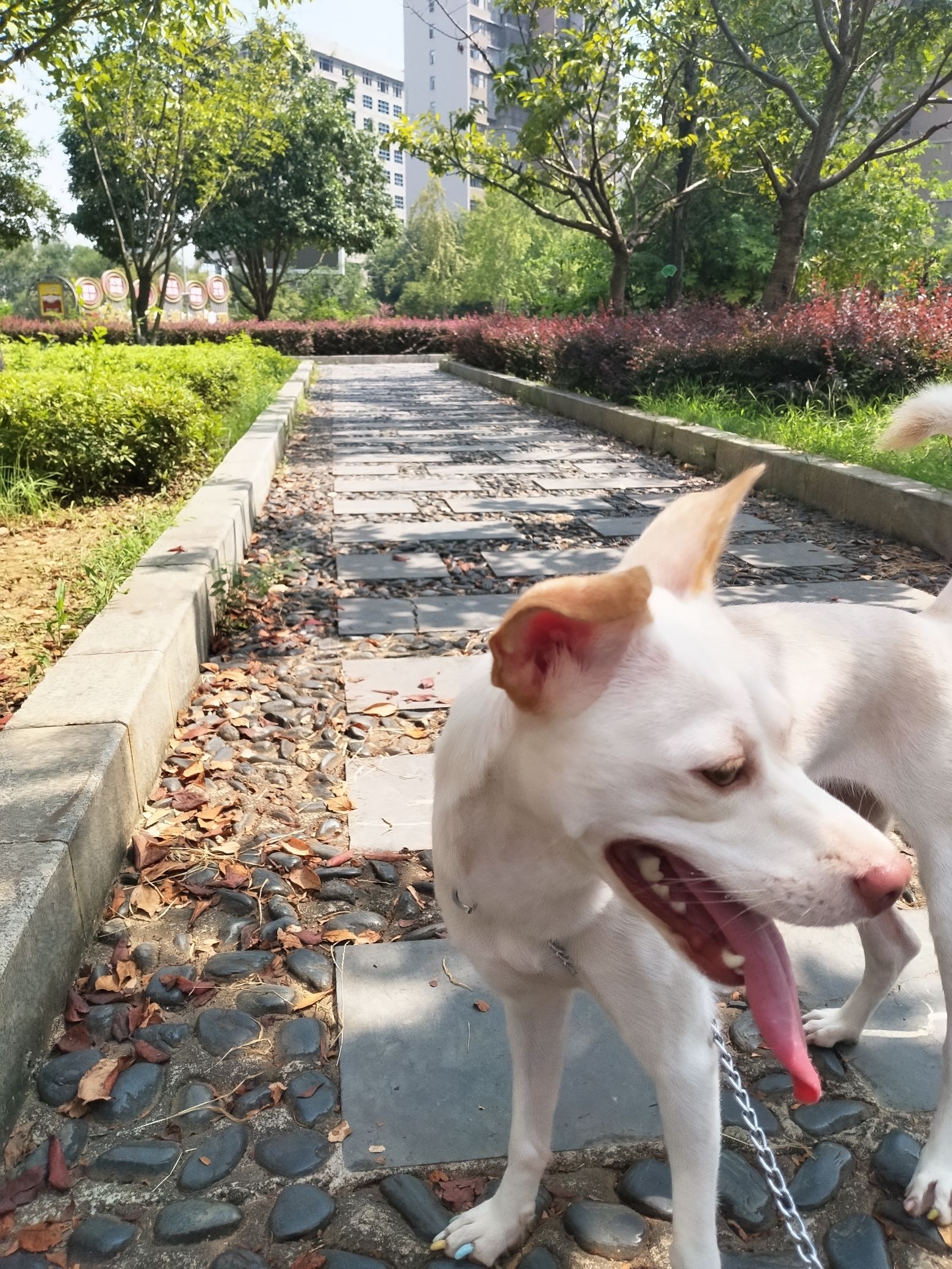 绿汀广场旅行图片 3