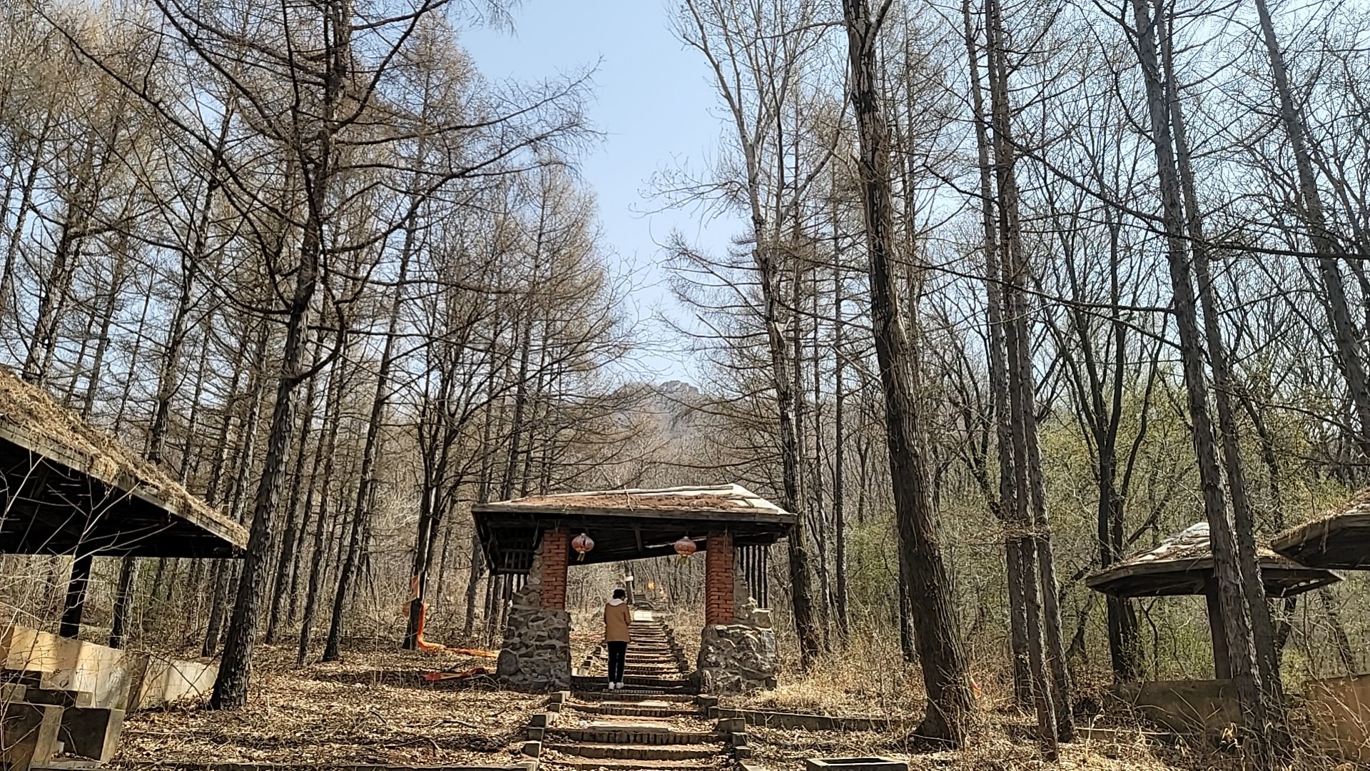 八台岭生态旅游风景区旅行图片 1