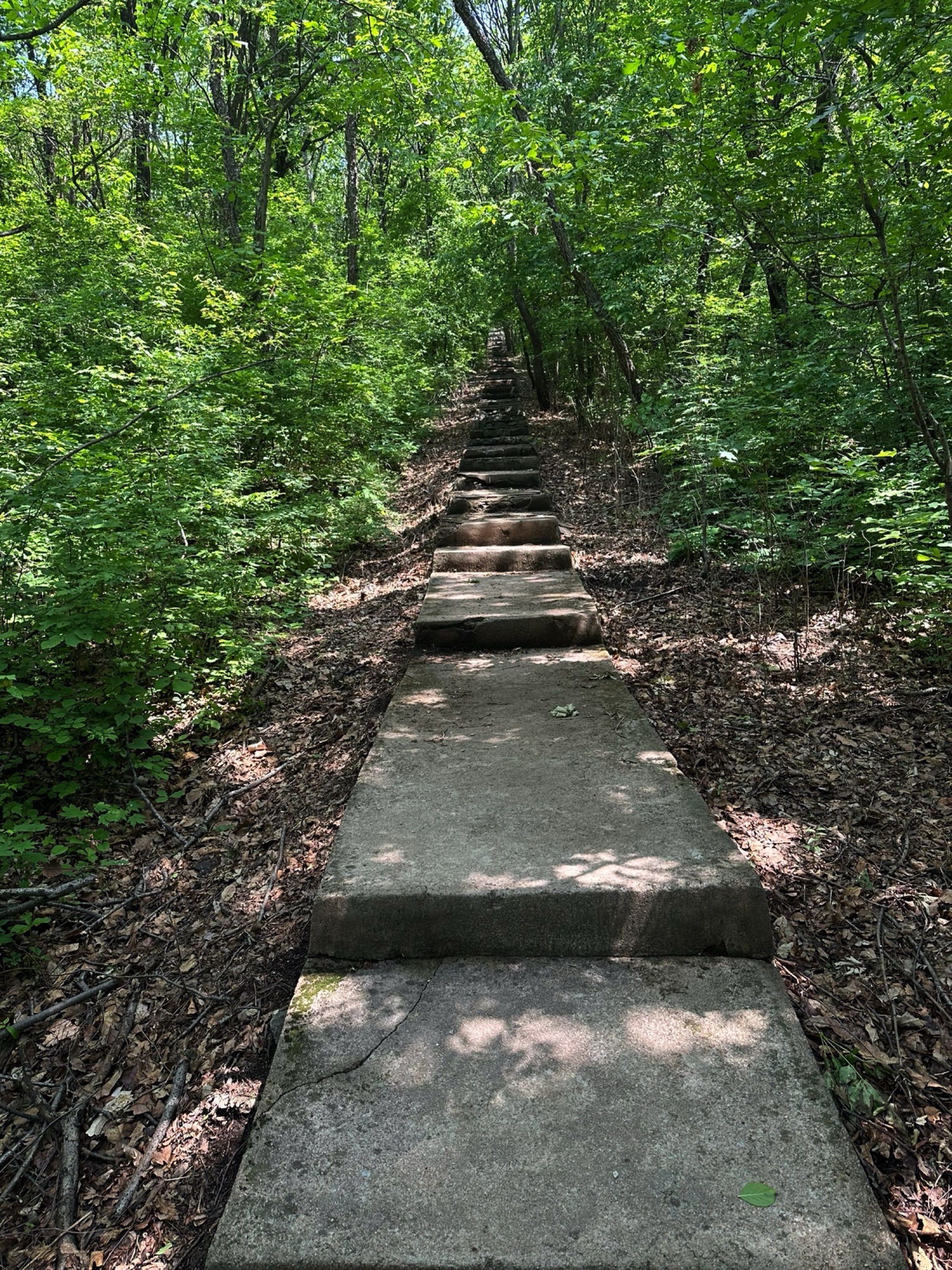 八台岭生态旅游风景区旅行图片 1