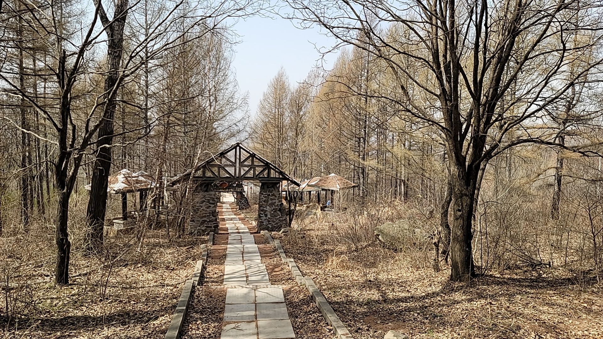 八台岭生态旅游风景区旅行图片 3