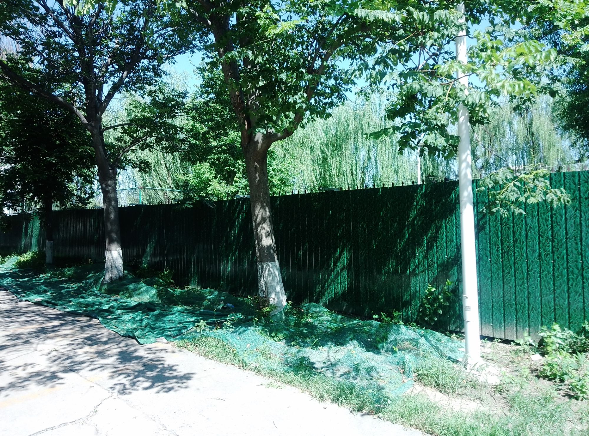 华航湖旅行图片