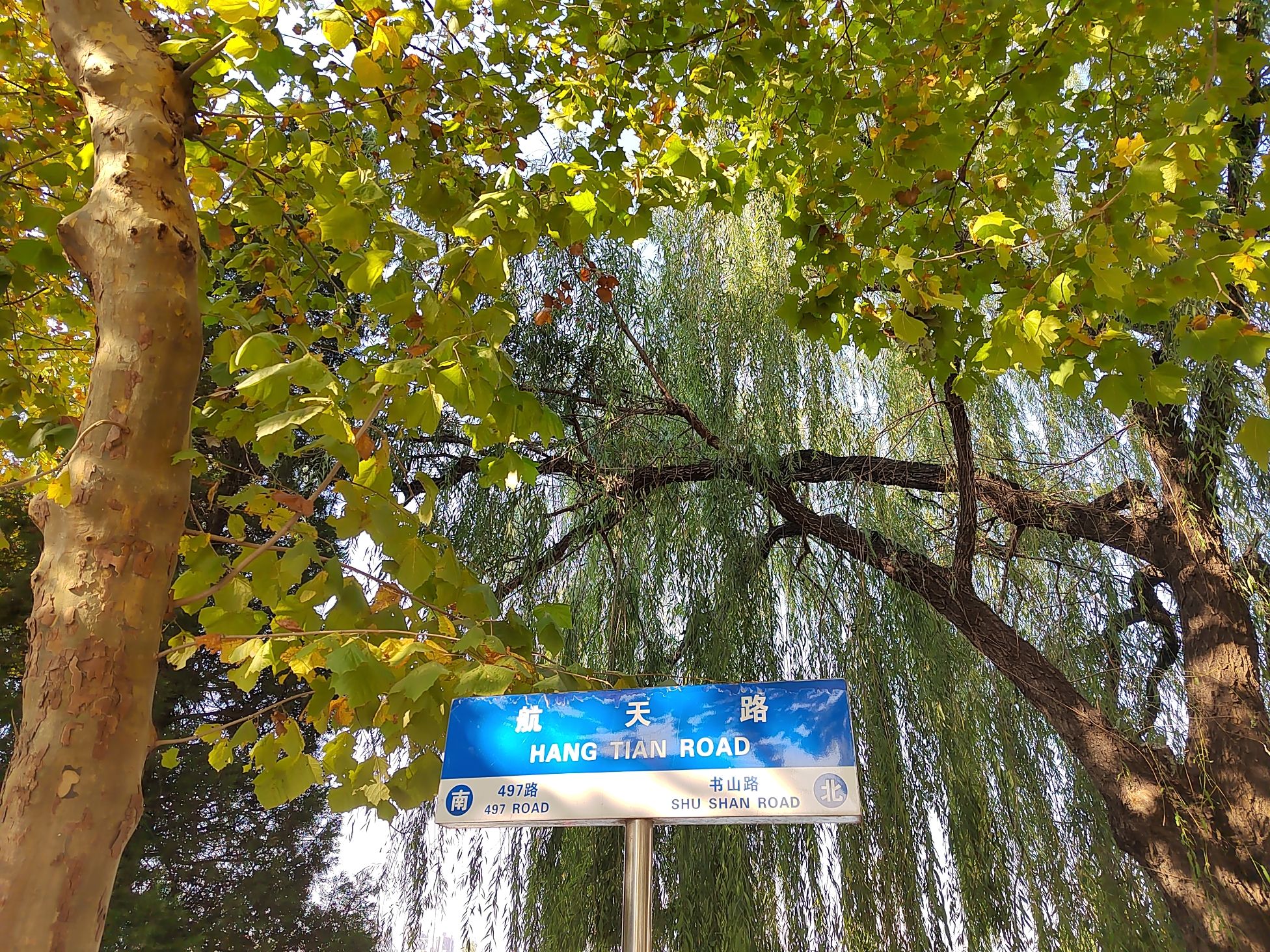 华航湖旅行图片 2