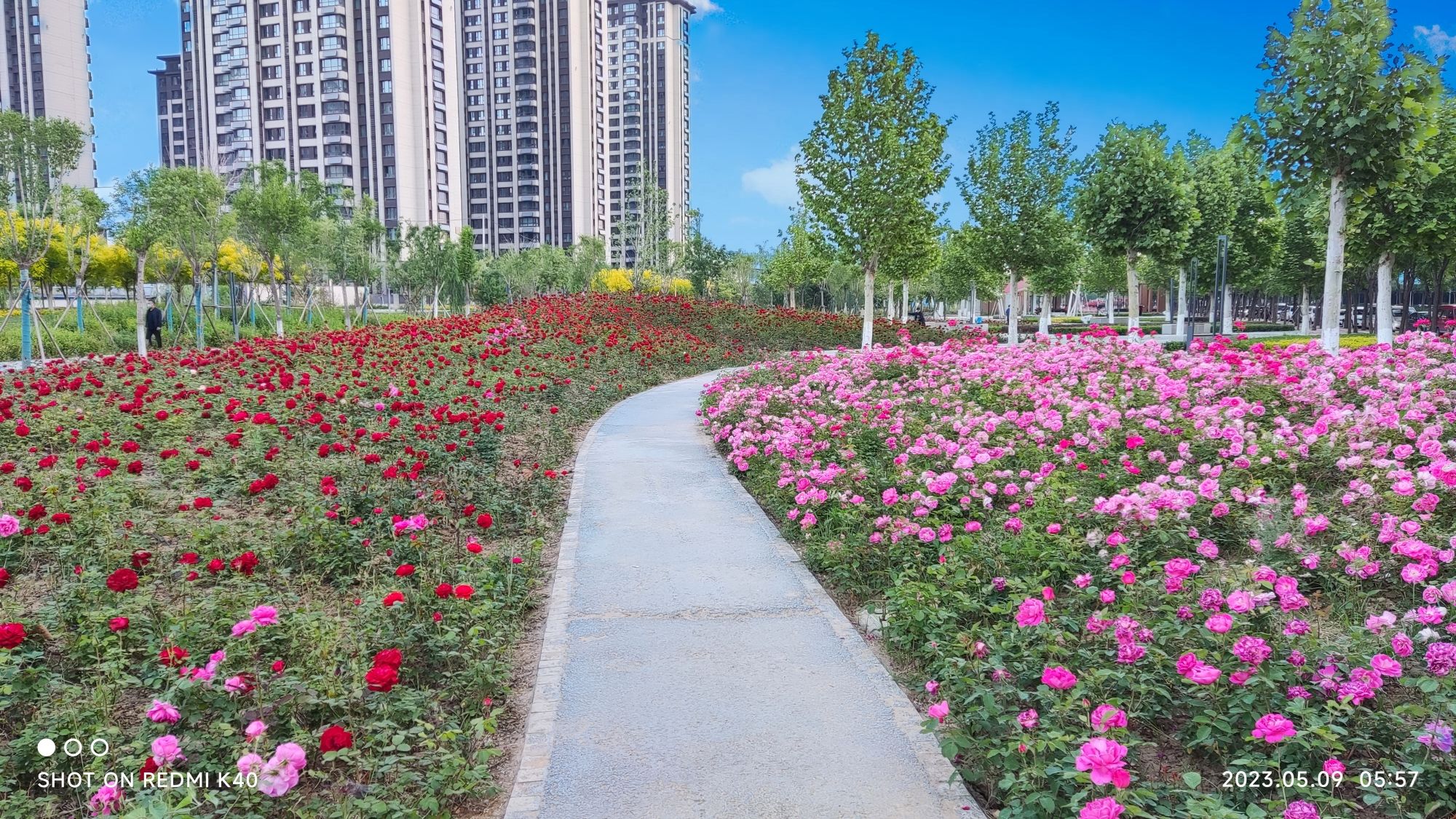 丰收渠带状绿地公园
