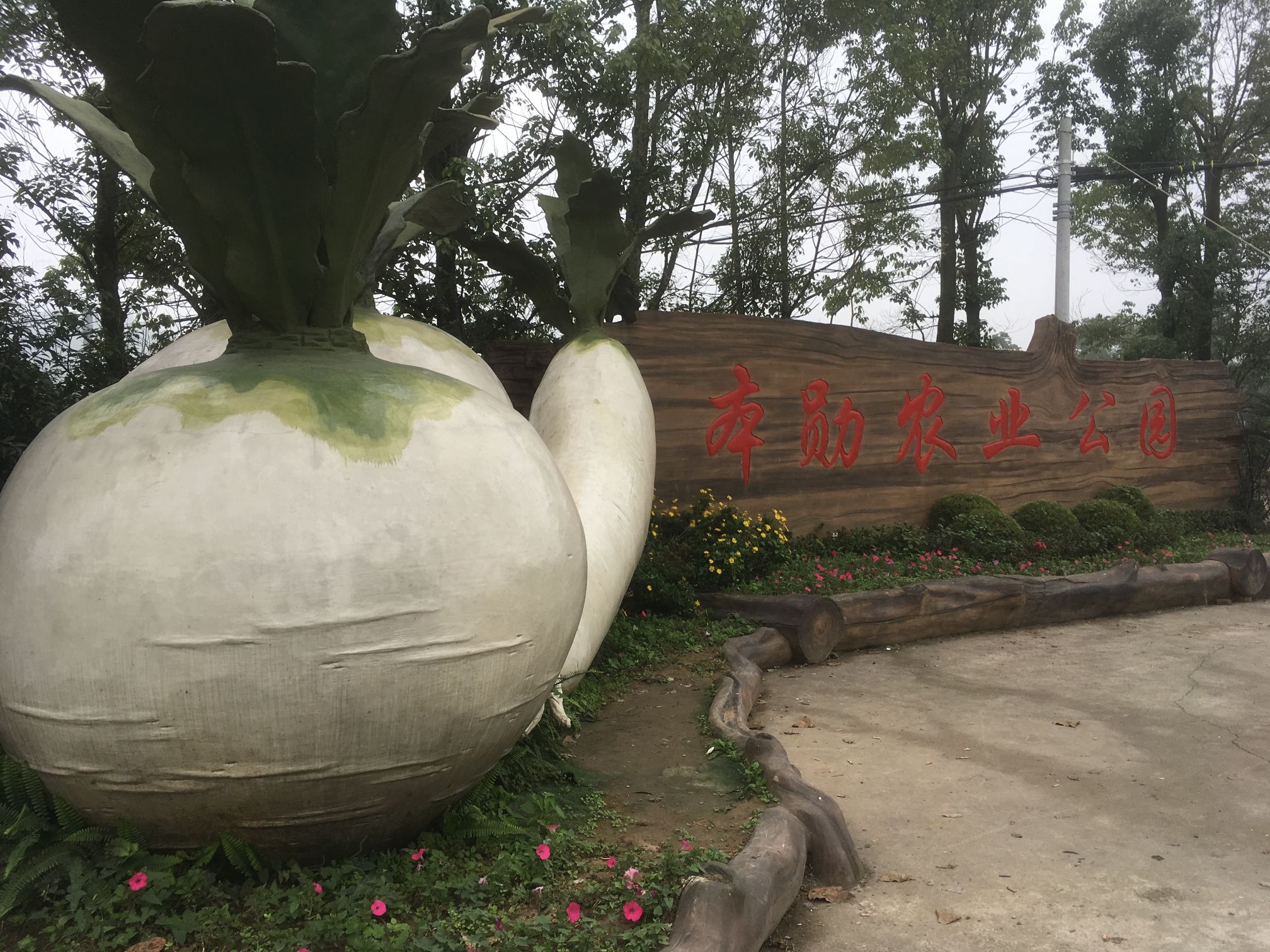 本勋农业公园旅行图片 1