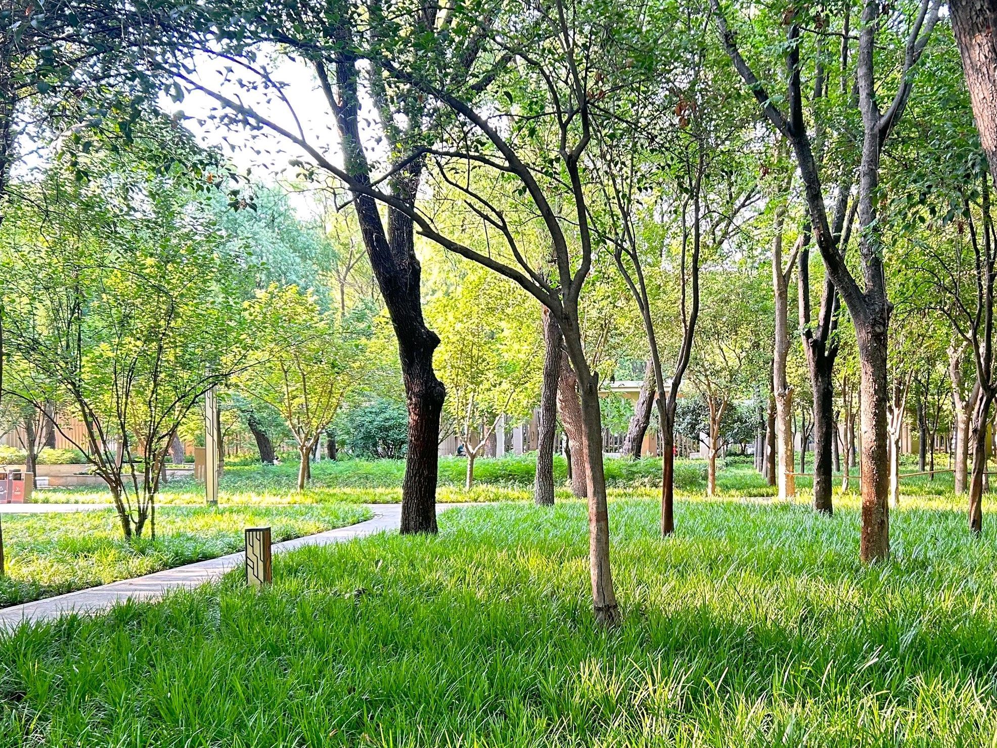 古树苑健康主题公园旅行图片 1