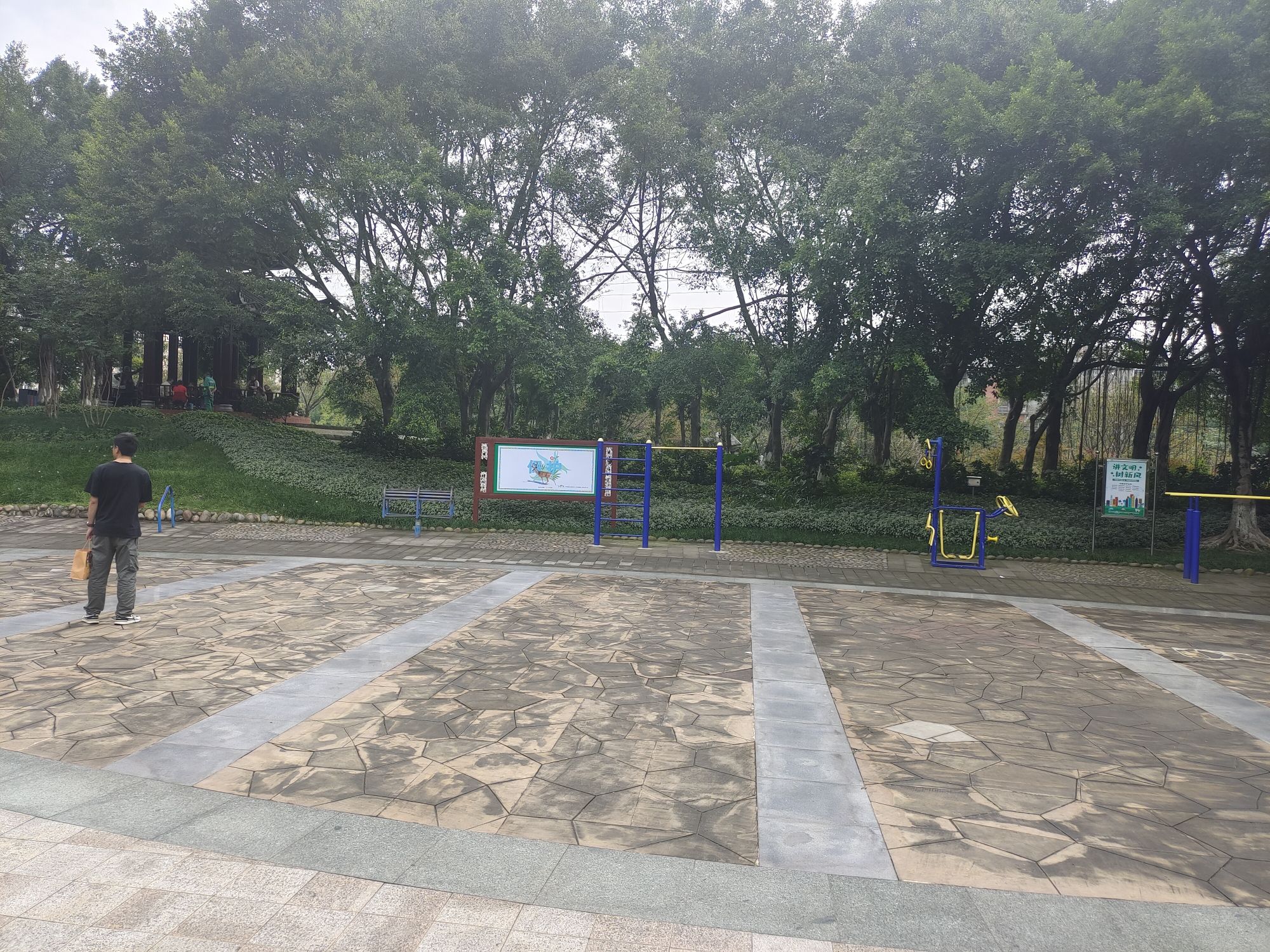 莲子山公园旅行图片 3