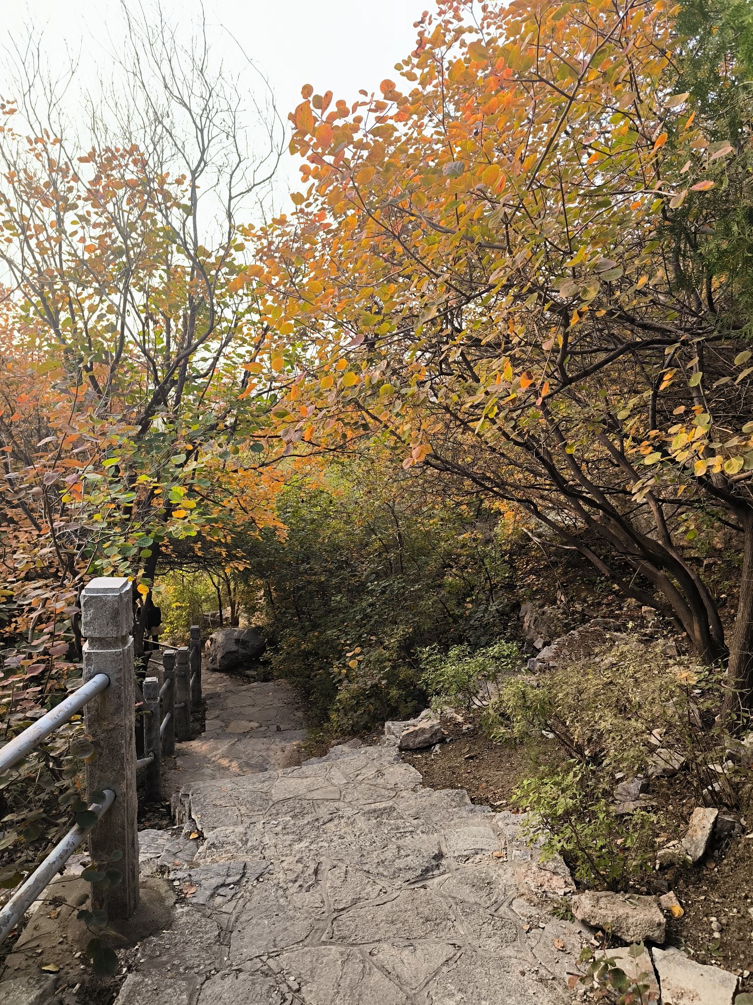 腊山公园旅行图片 2
