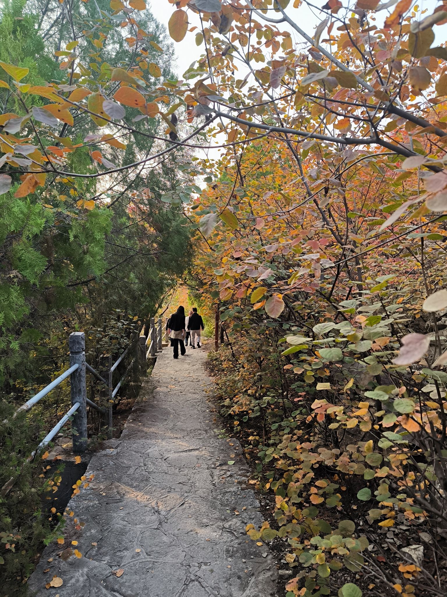 腊山公园旅行图片 3