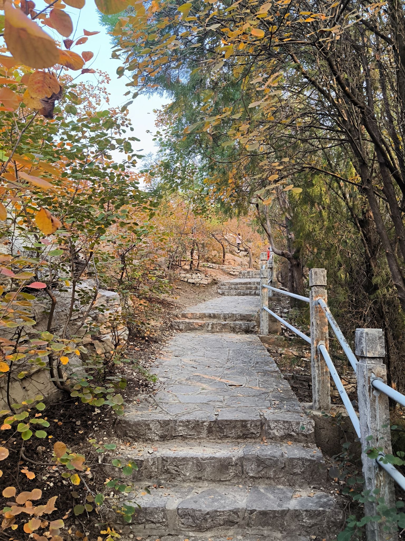 腊山公园旅行图片 1