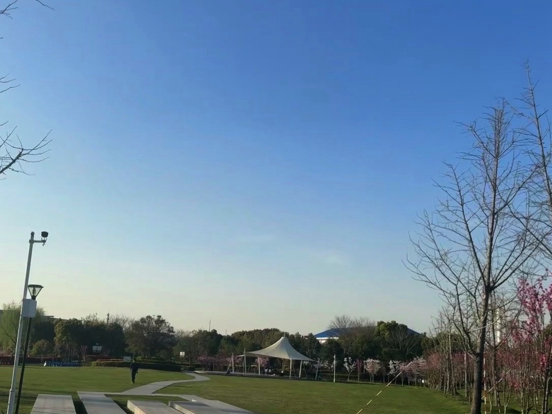 张江主题公园旅行图片 1