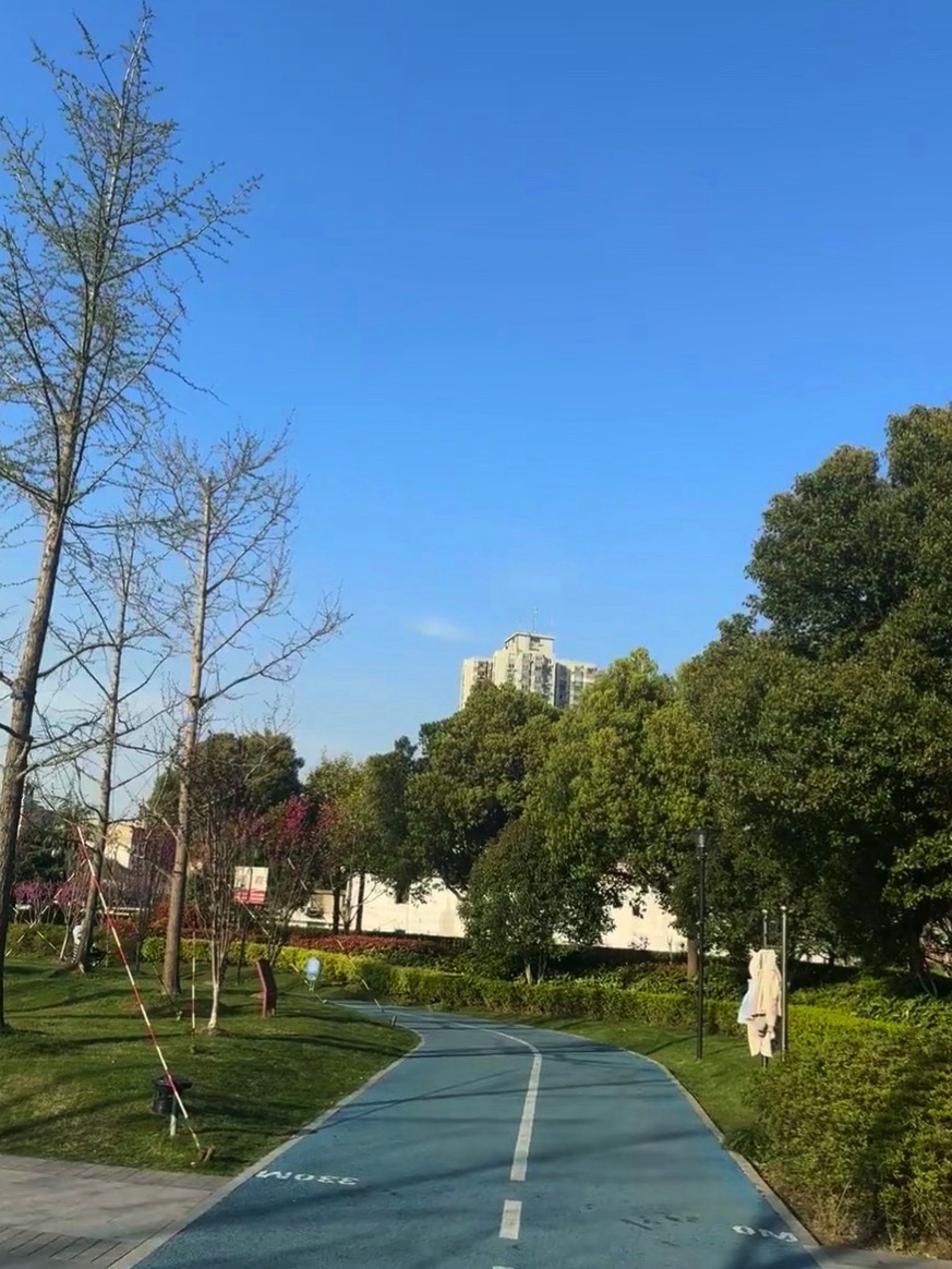 张江主题公园旅行图片 2