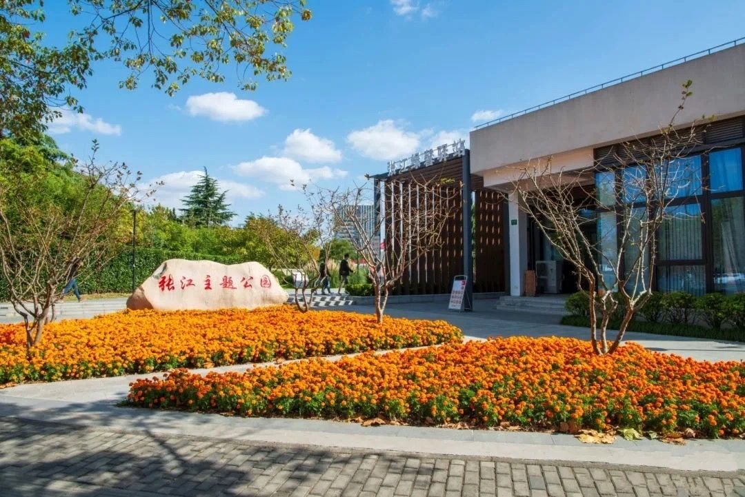 张江主题公园旅行图片 1
