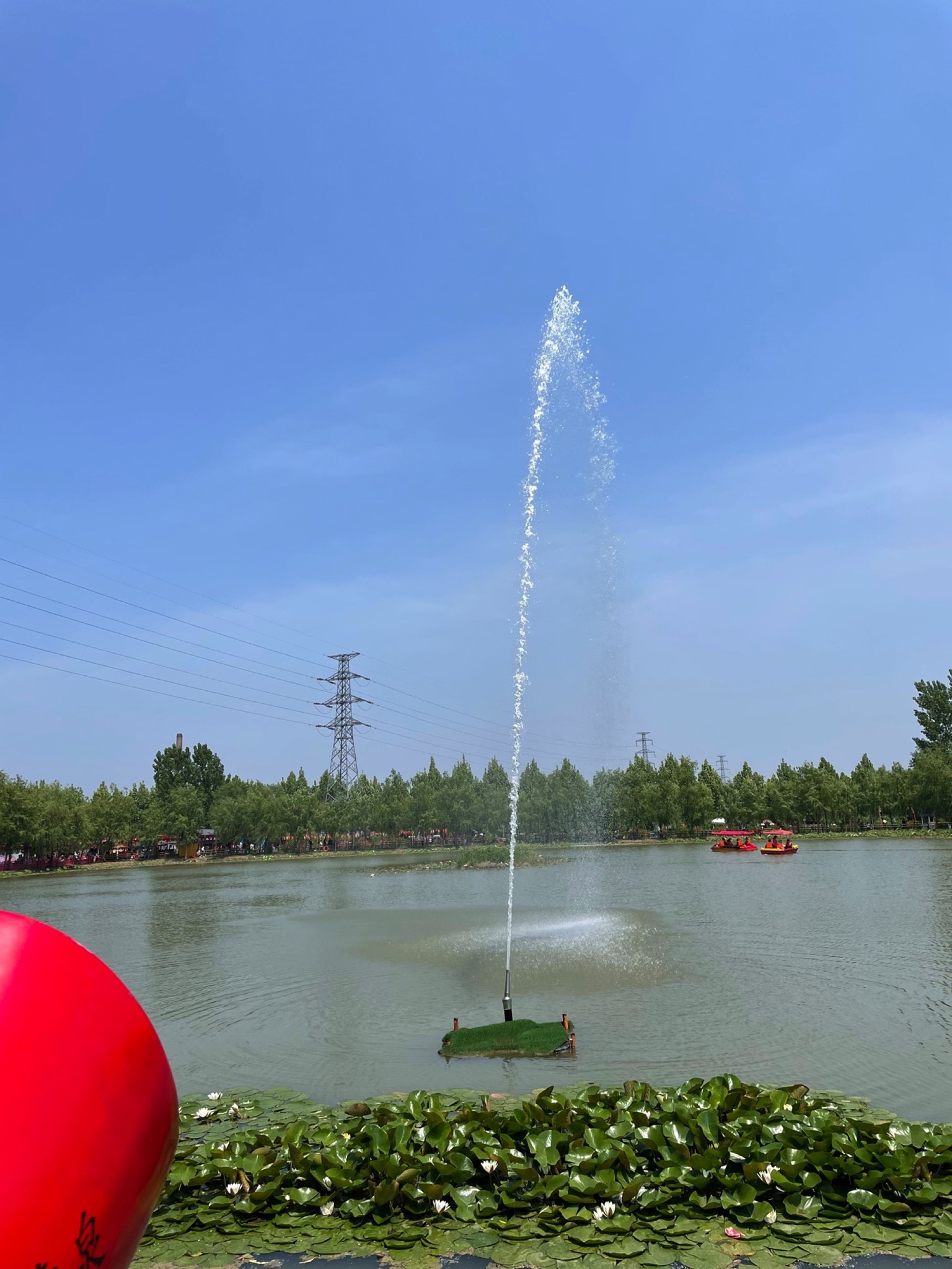 荷花园旅行图片 3