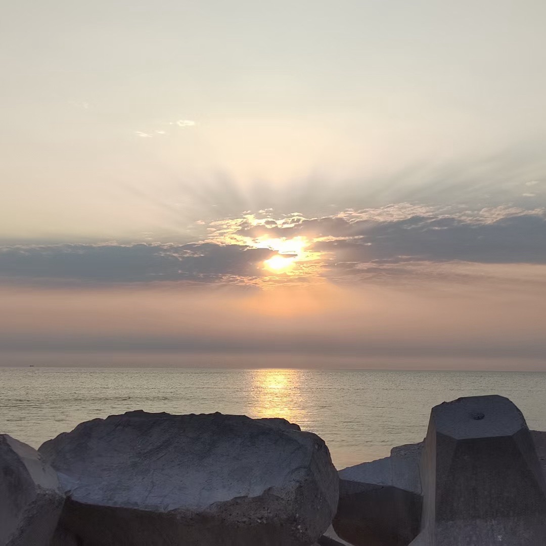 南山海边沙滩旅行图片 3