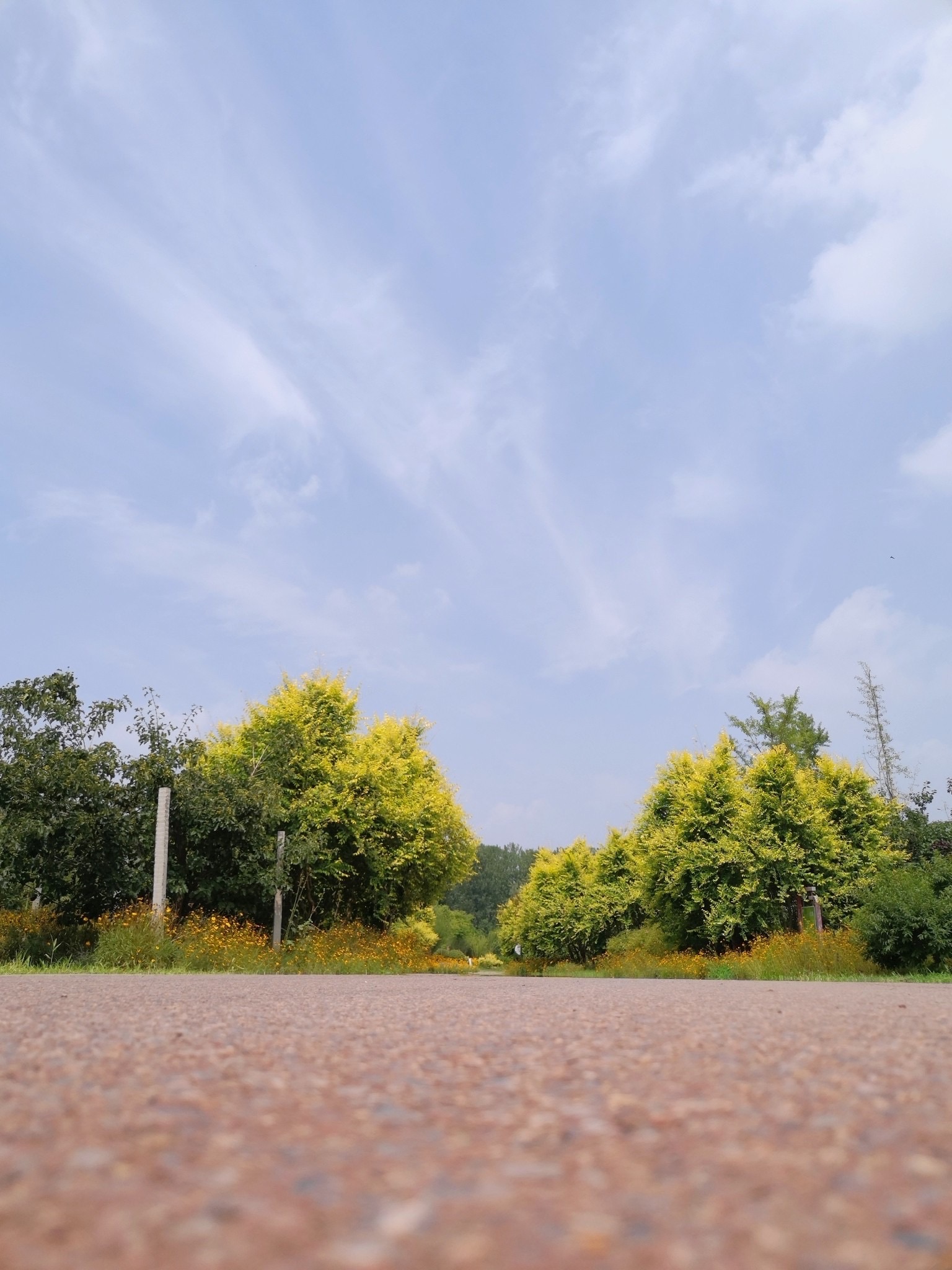 濮水湿地公园旅行图片 2