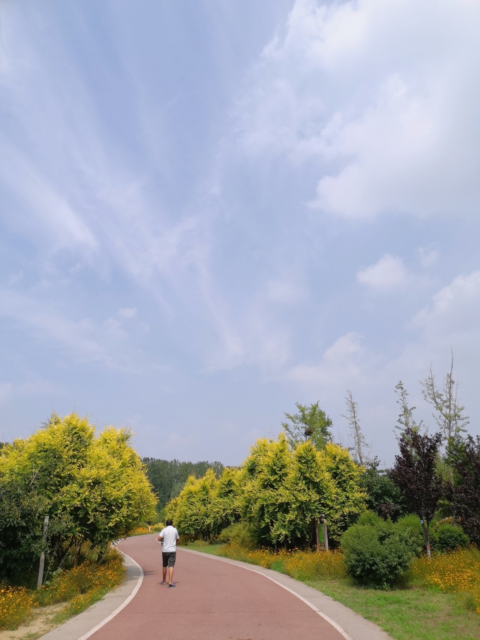濮水湿地公园旅行图片 3