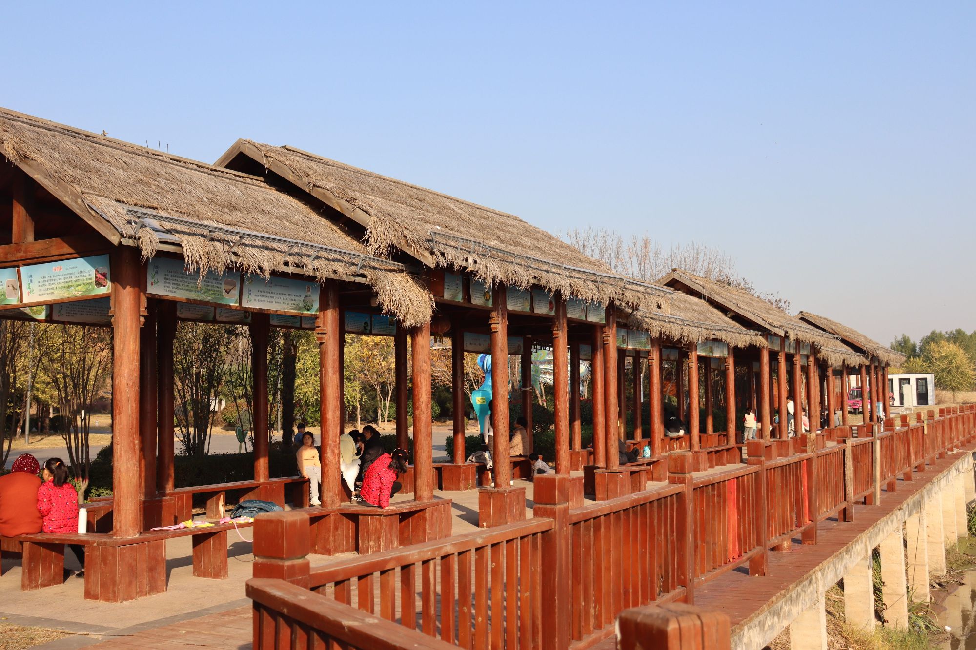 濮水湿地公园旅行图片 2