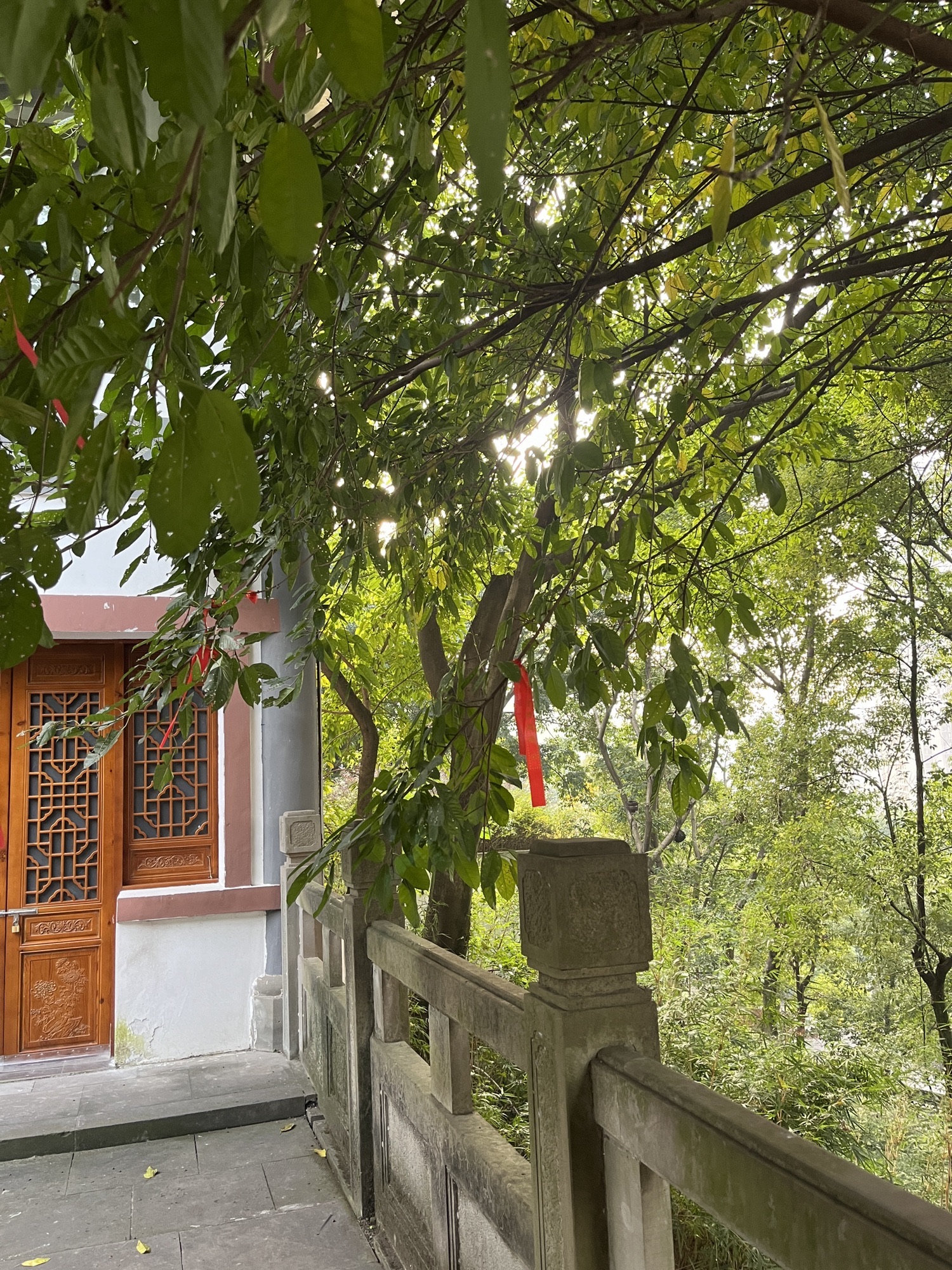 关岳庙旅行图片 1