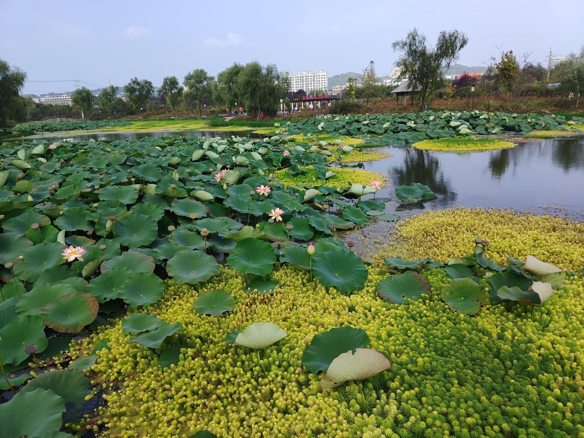 铁岭西丰寇河湿地公园