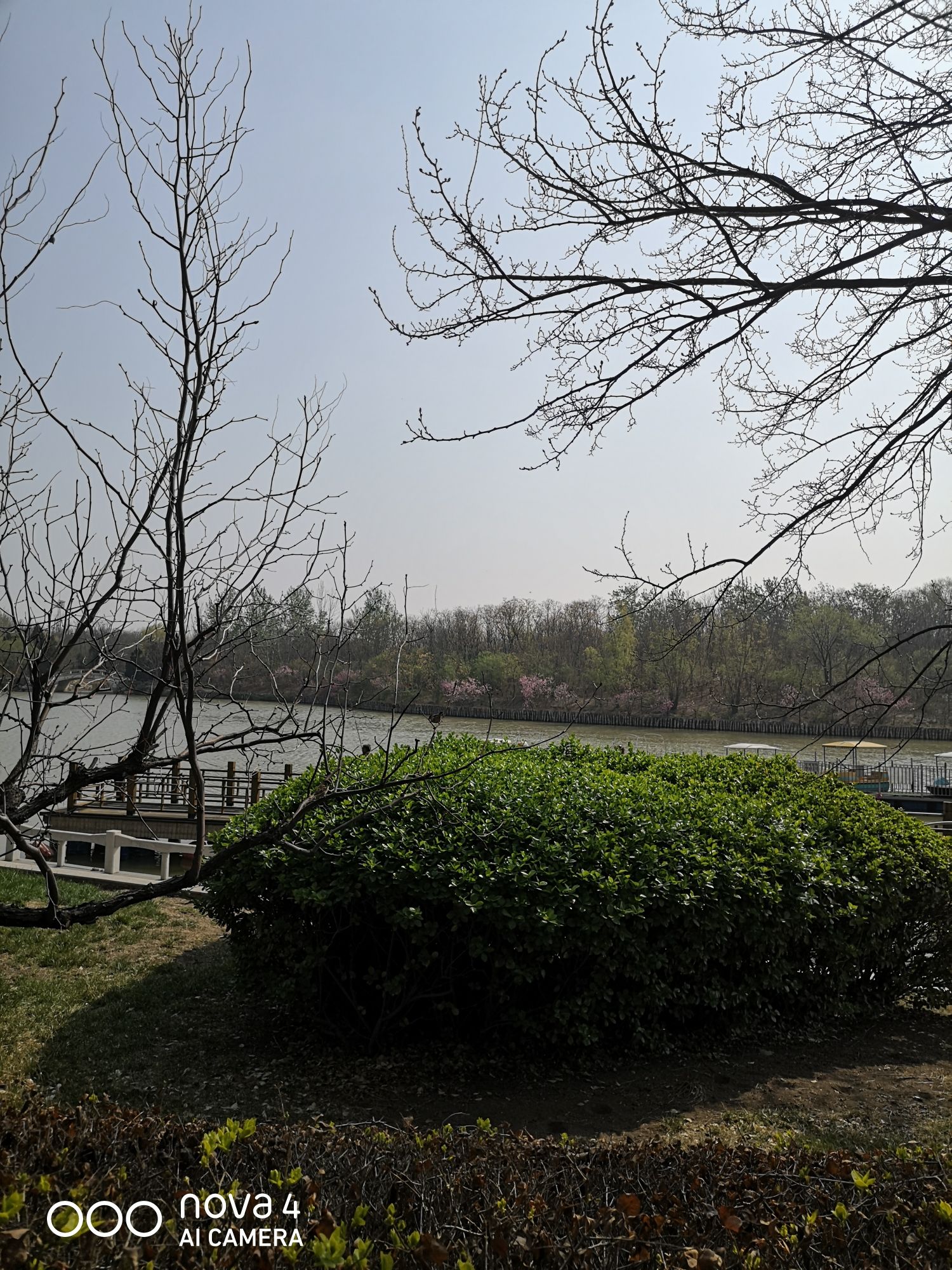 塘沽森林公园旅行图片 3