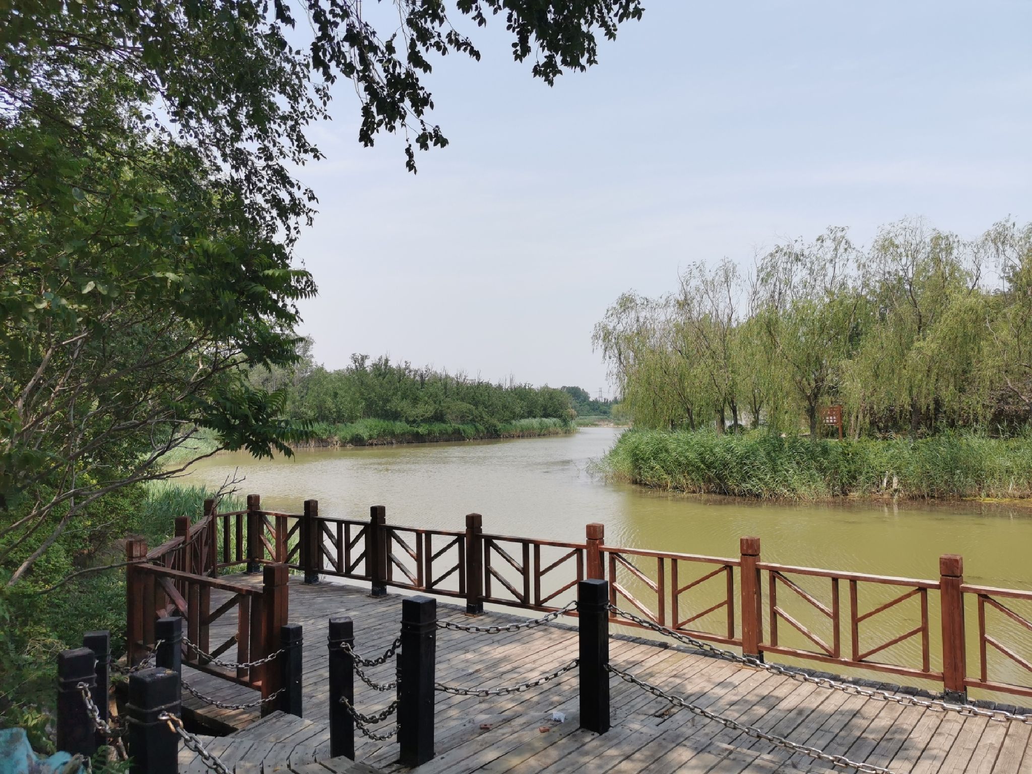 塘沽森林公园旅行图片 1