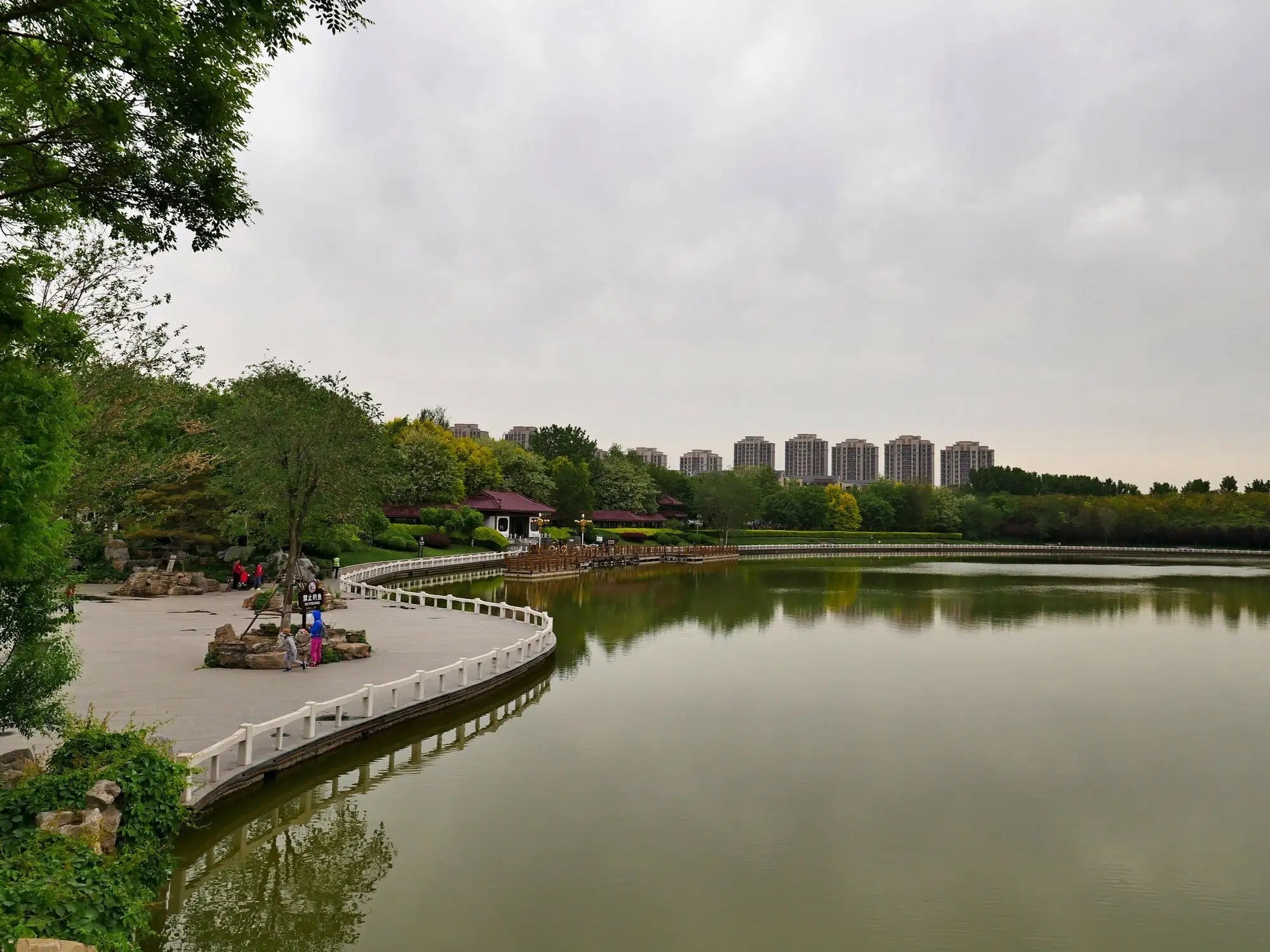 塘沽森林公园旅行图片 3