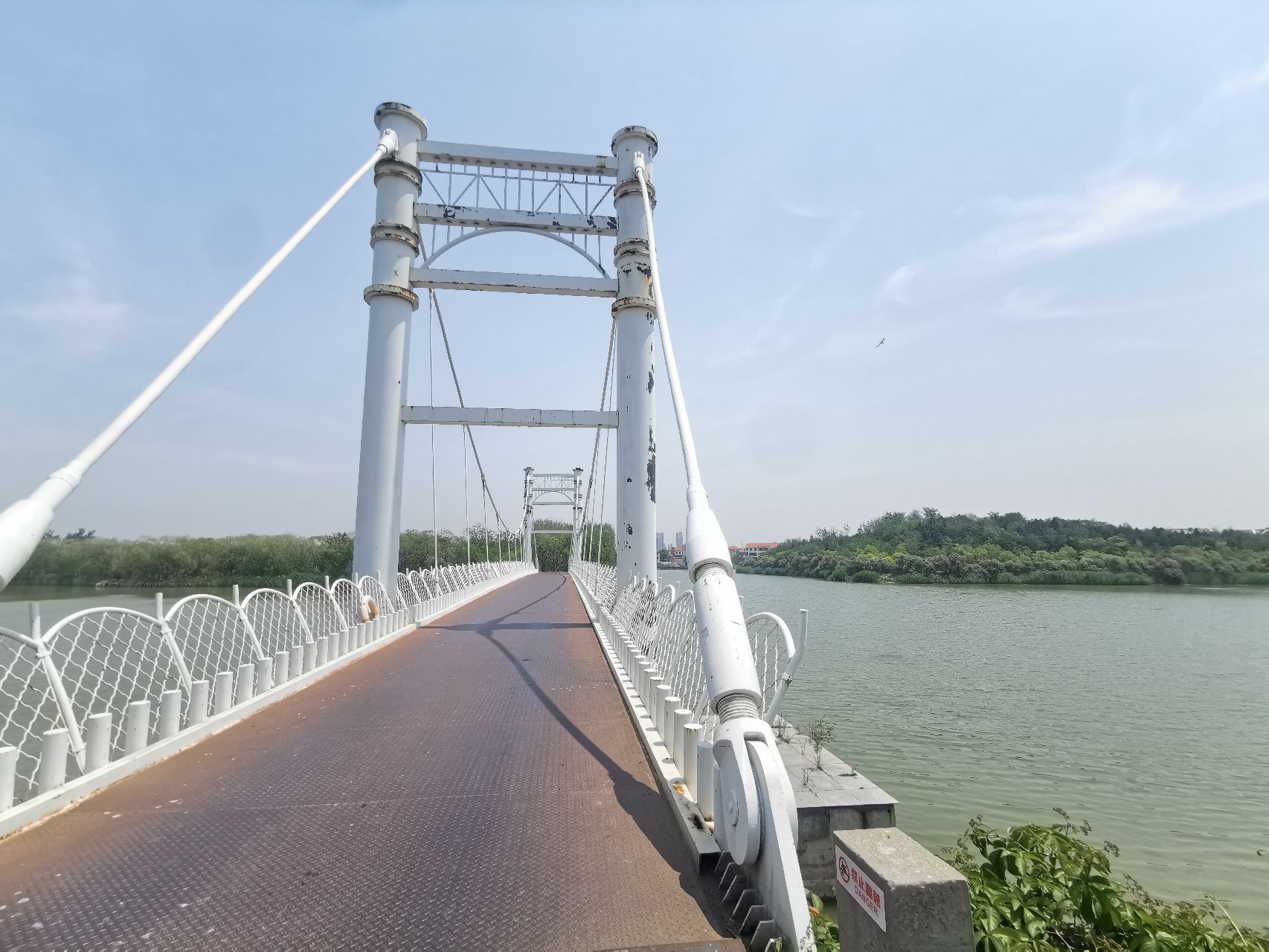 塘沽森林公园旅行图片 3
