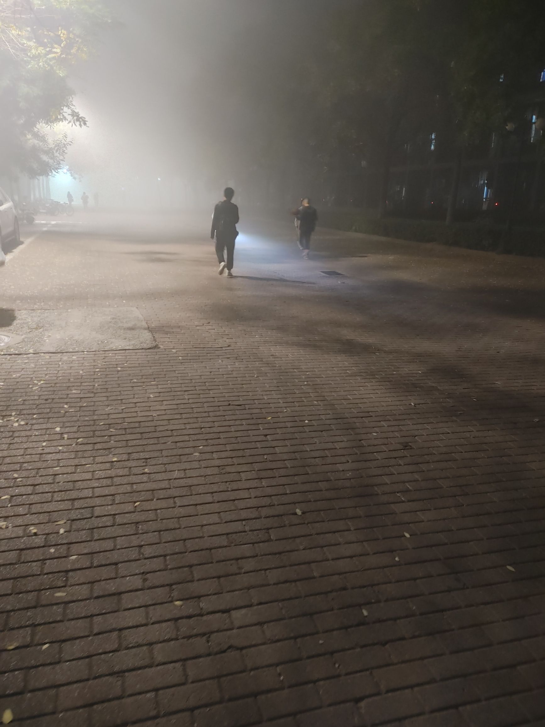 塘沽森林公园旅行图片 3