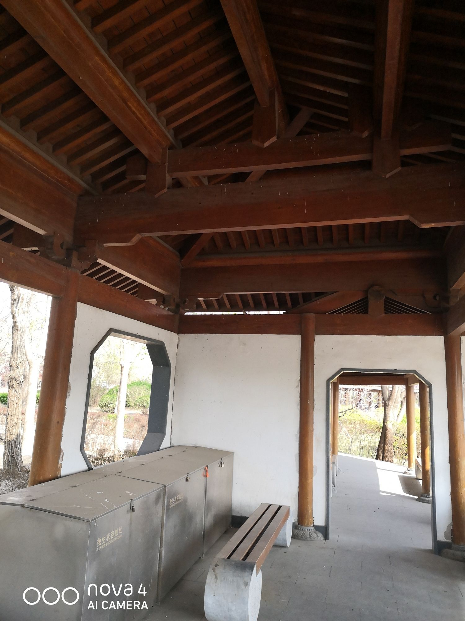 塘沽森林公园旅行图片 1
