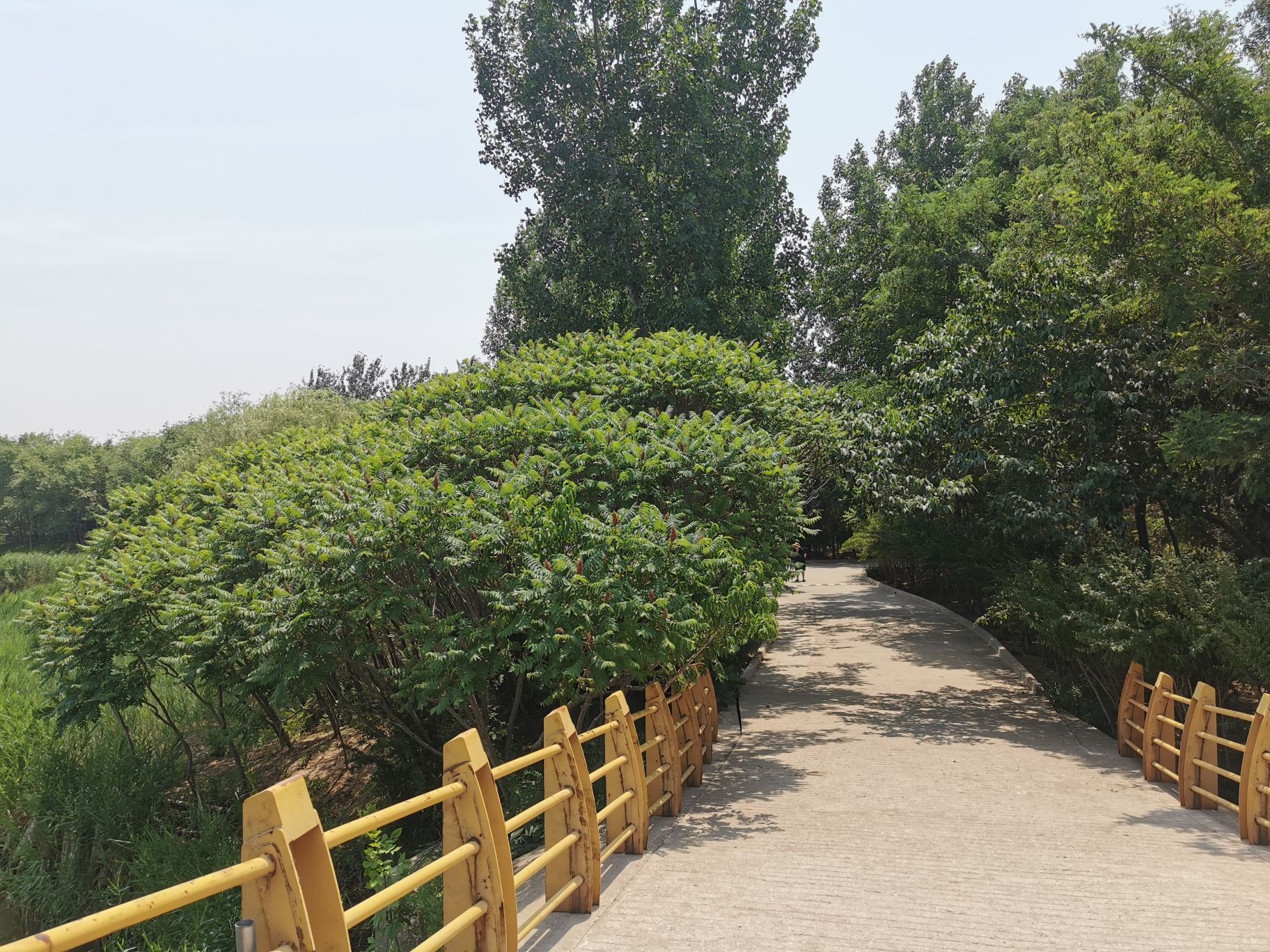 塘沽森林公园旅行图片 2