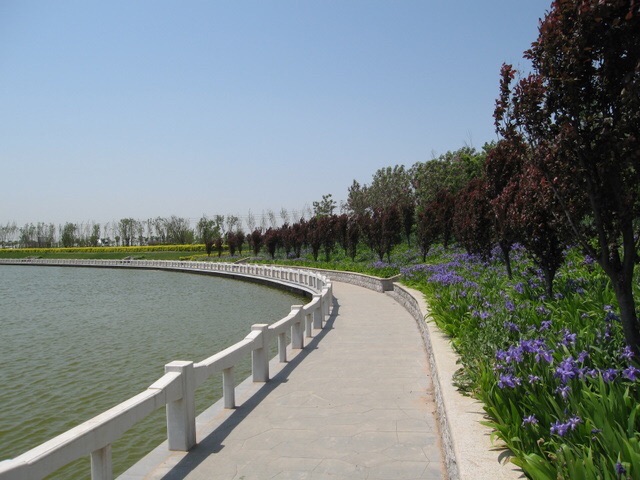 塘沽森林公园旅行图片 2