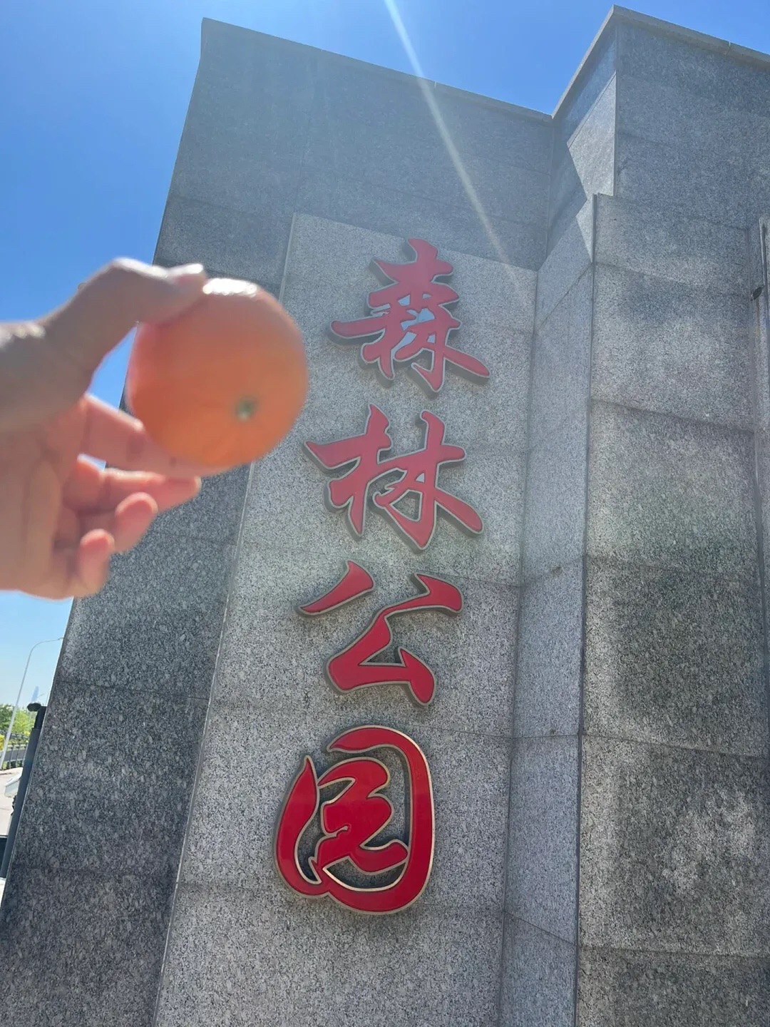 塘沽森林公园旅行图片 1