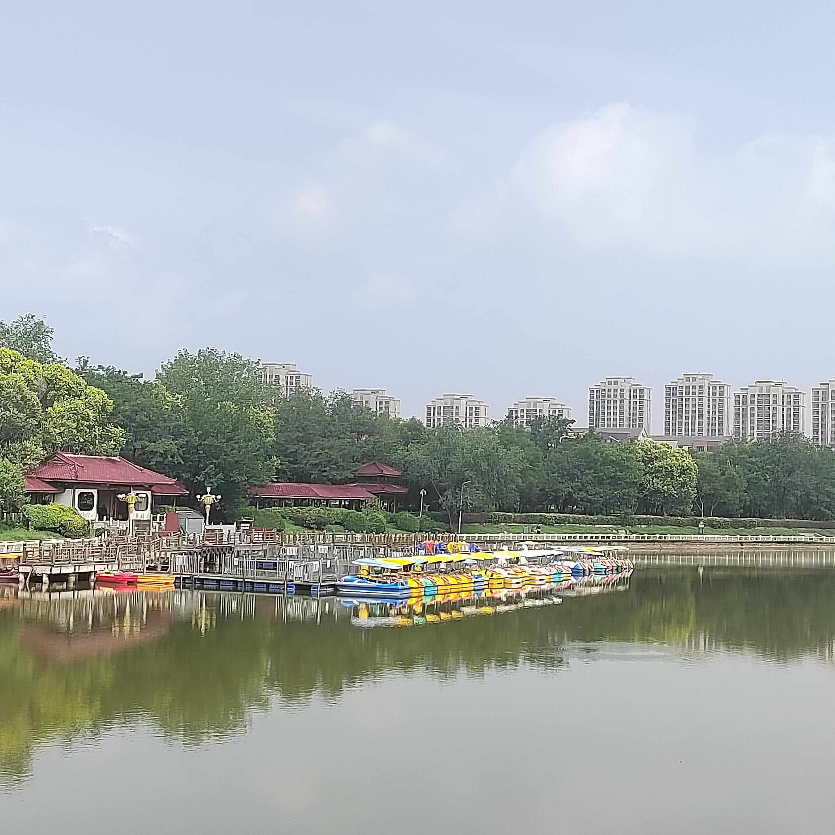 塘沽森林公园旅行图片 2