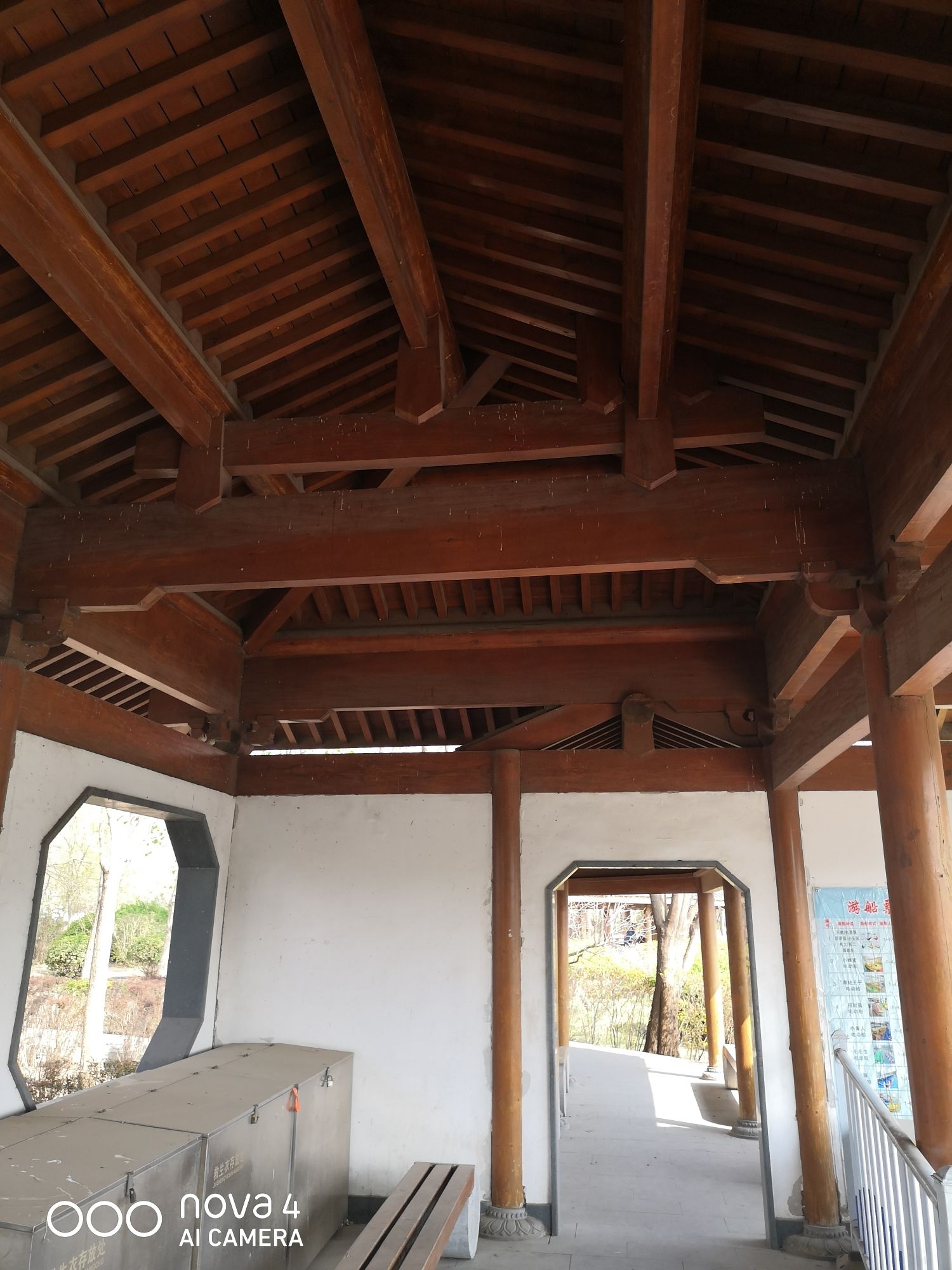 塘沽森林公园旅行图片 2