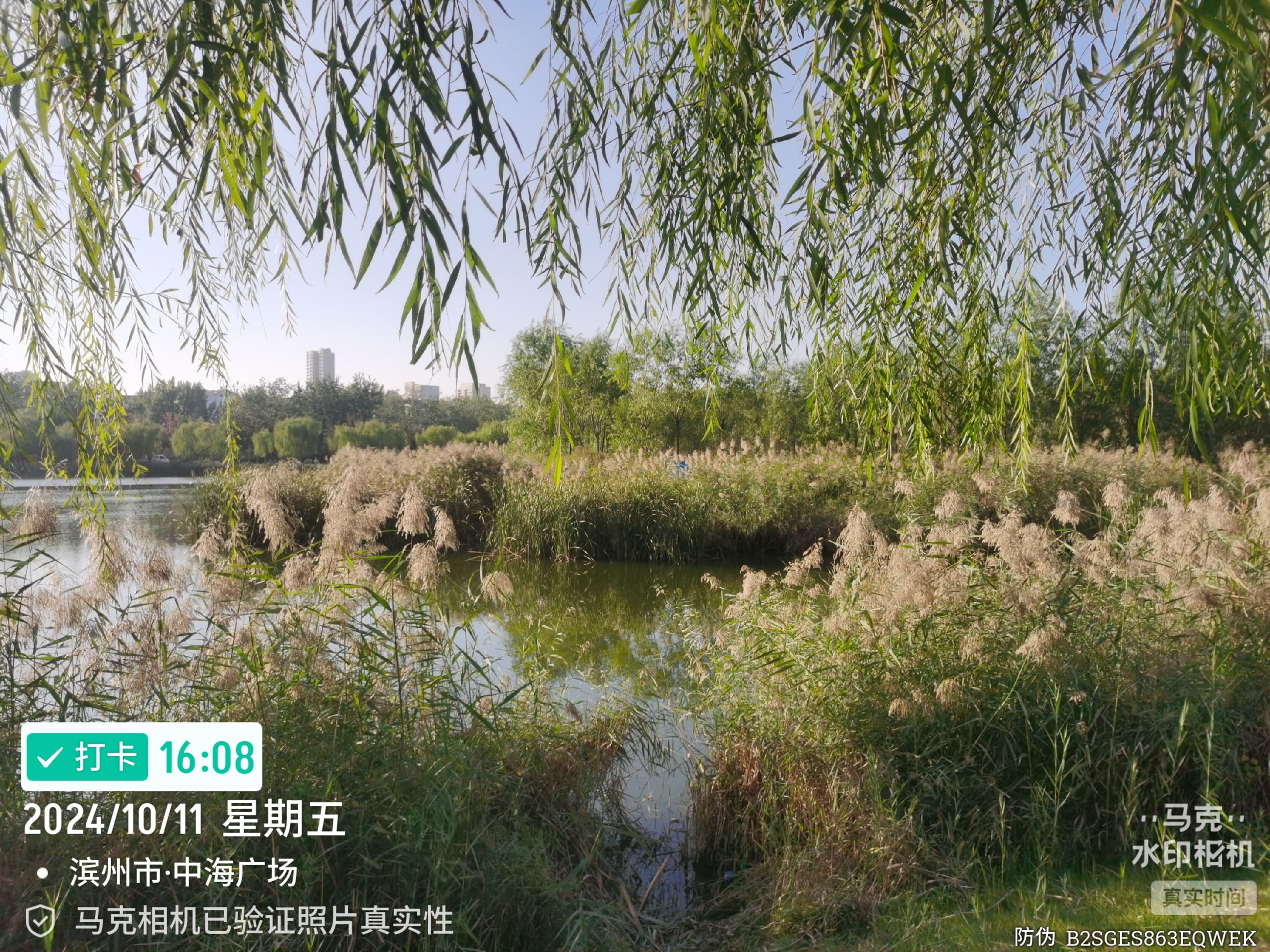 中海广场旅行图片 1