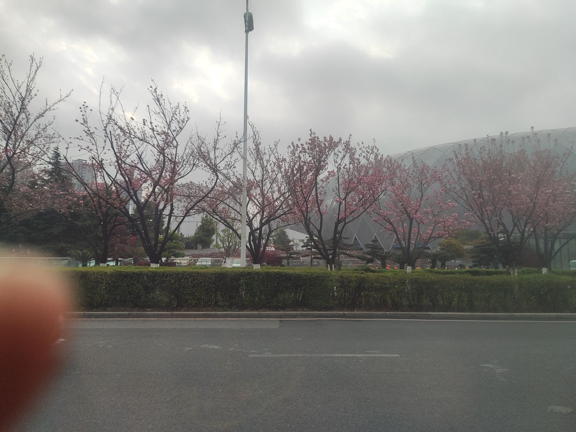奥体中心北广场旅行图片 2
