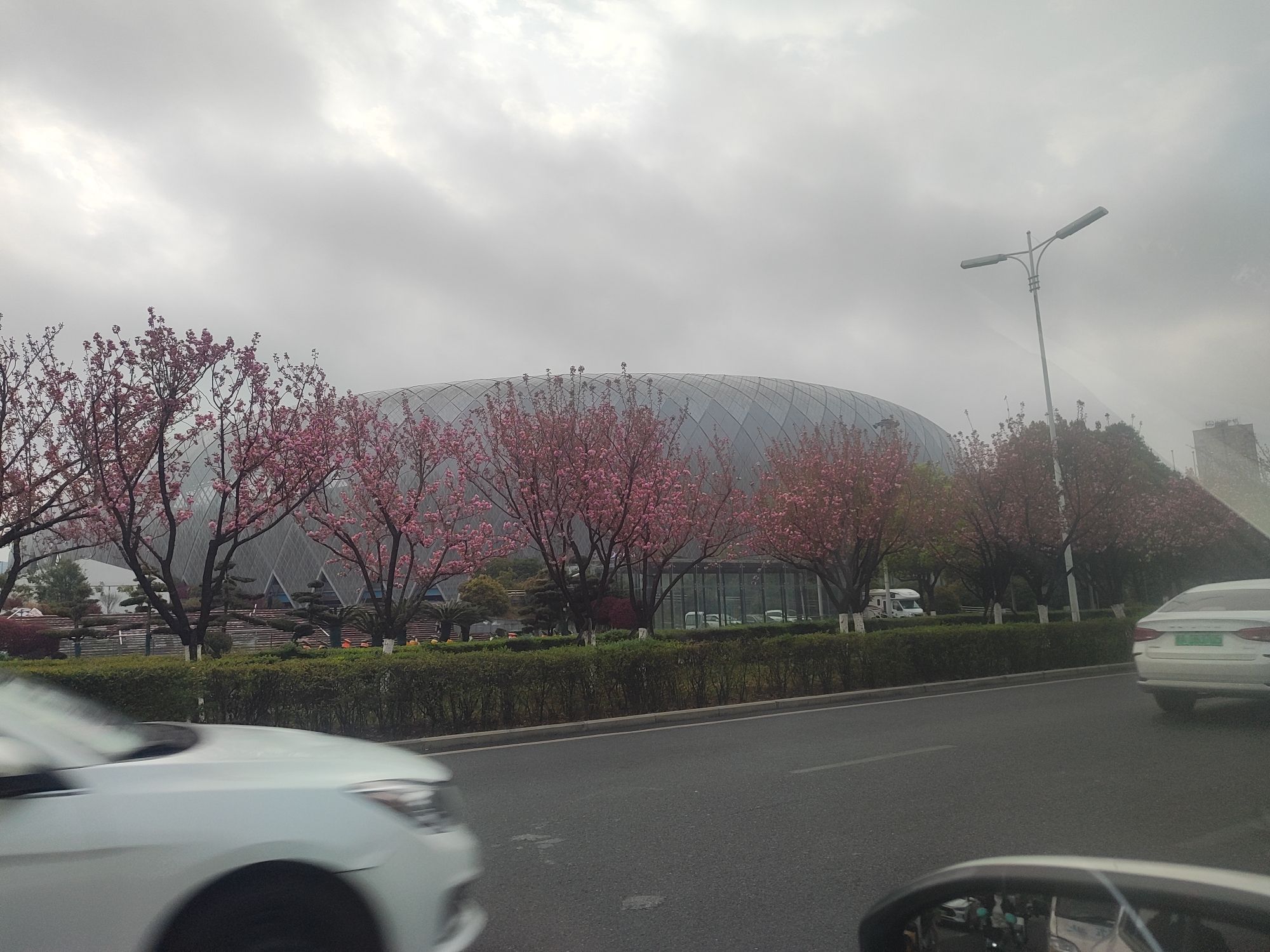 奥体中心北广场旅行图片 1