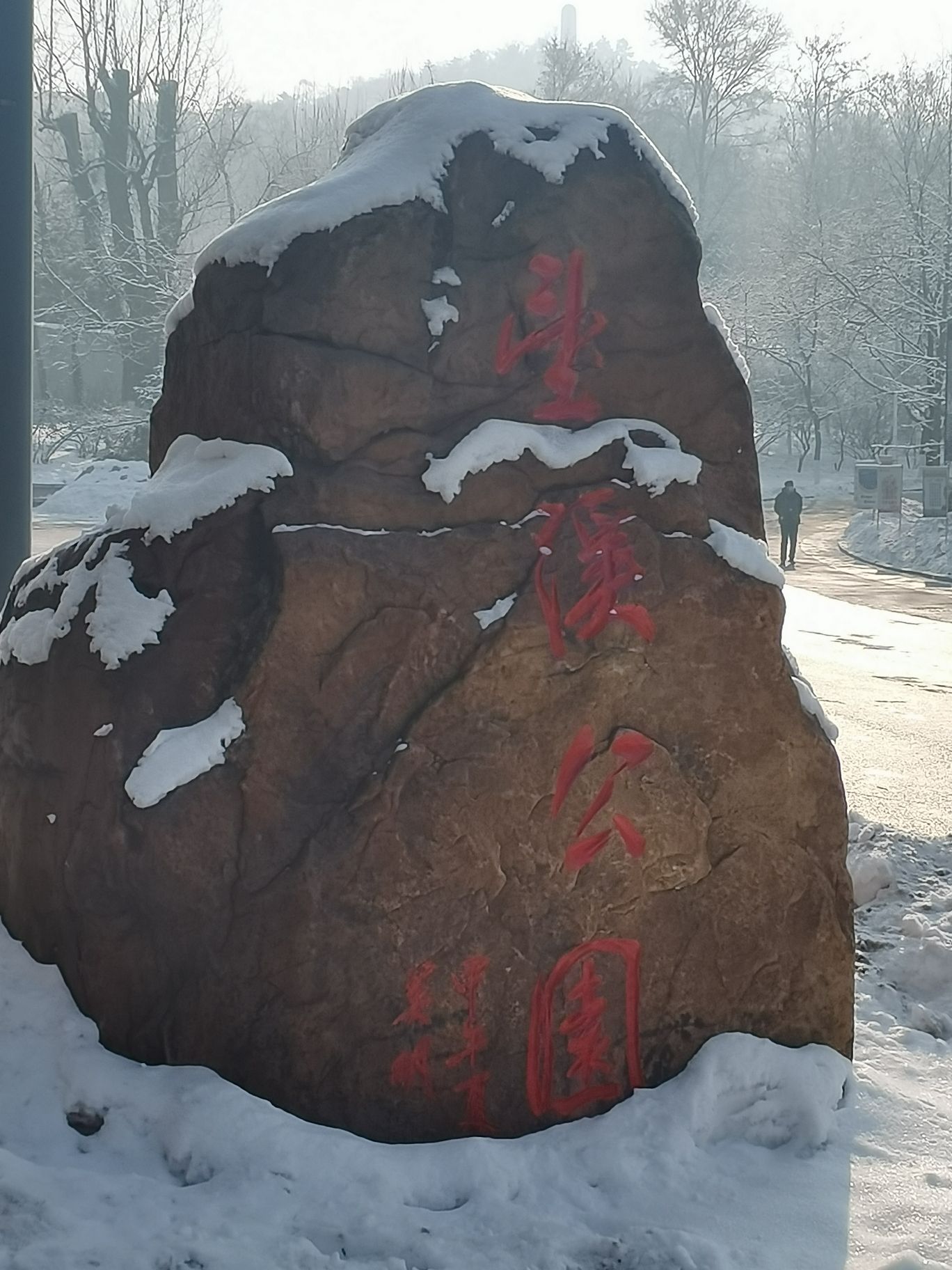 望溪公园旅行图片 3