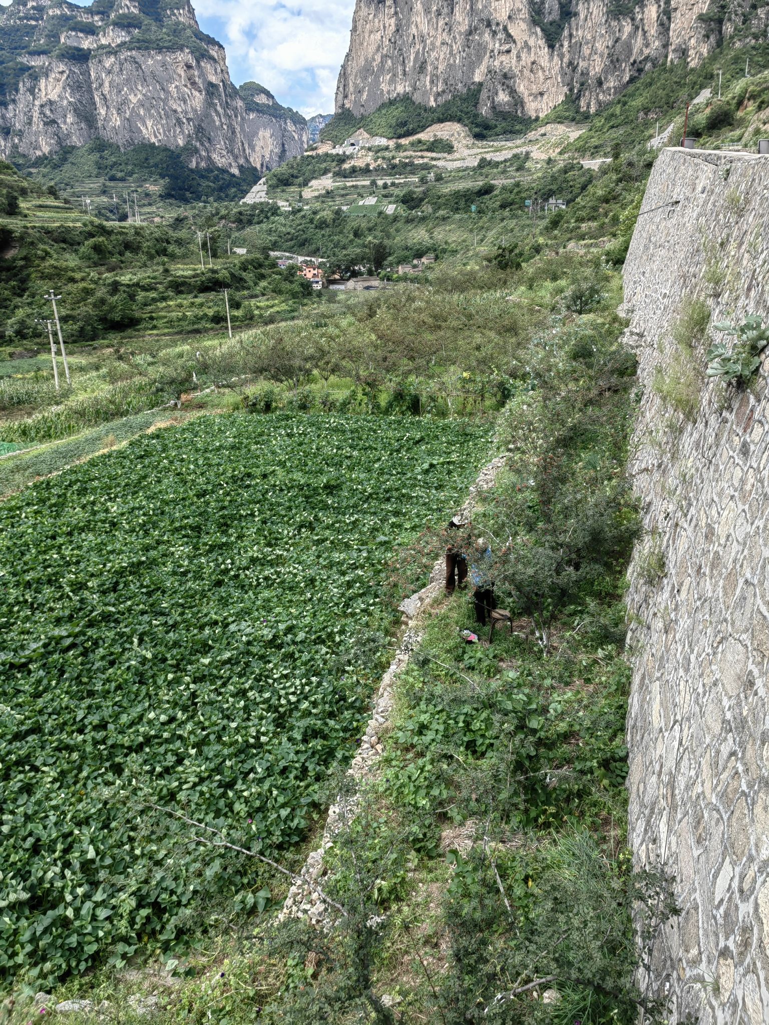 虹梯关古道景区旅行图片 2