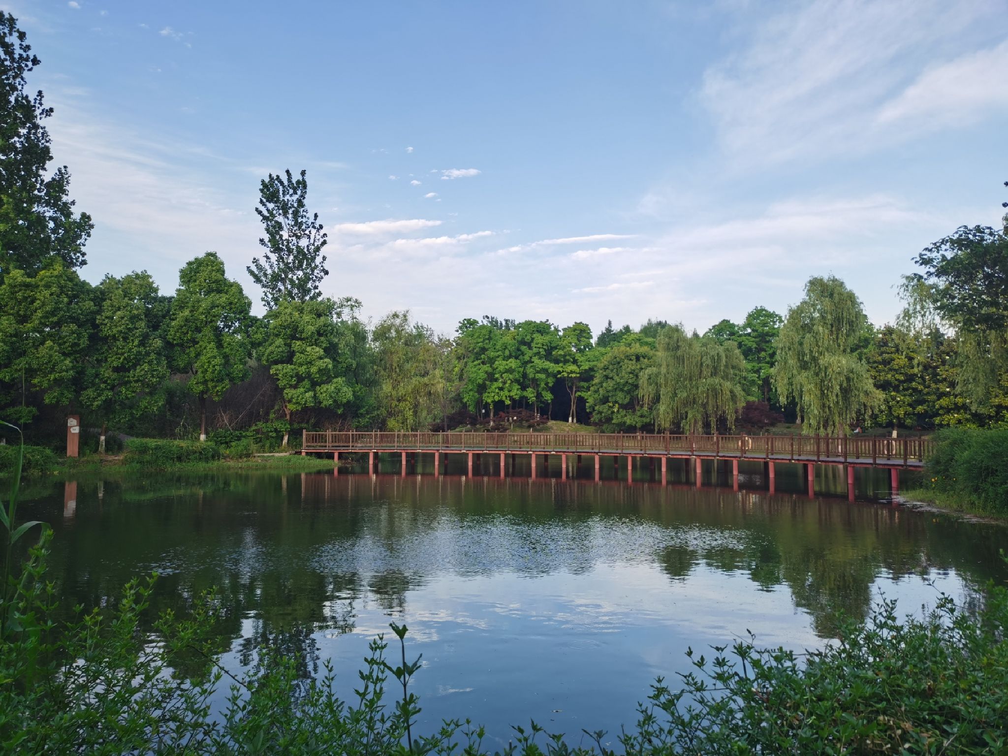 三桥湿地公园旅行图片 3