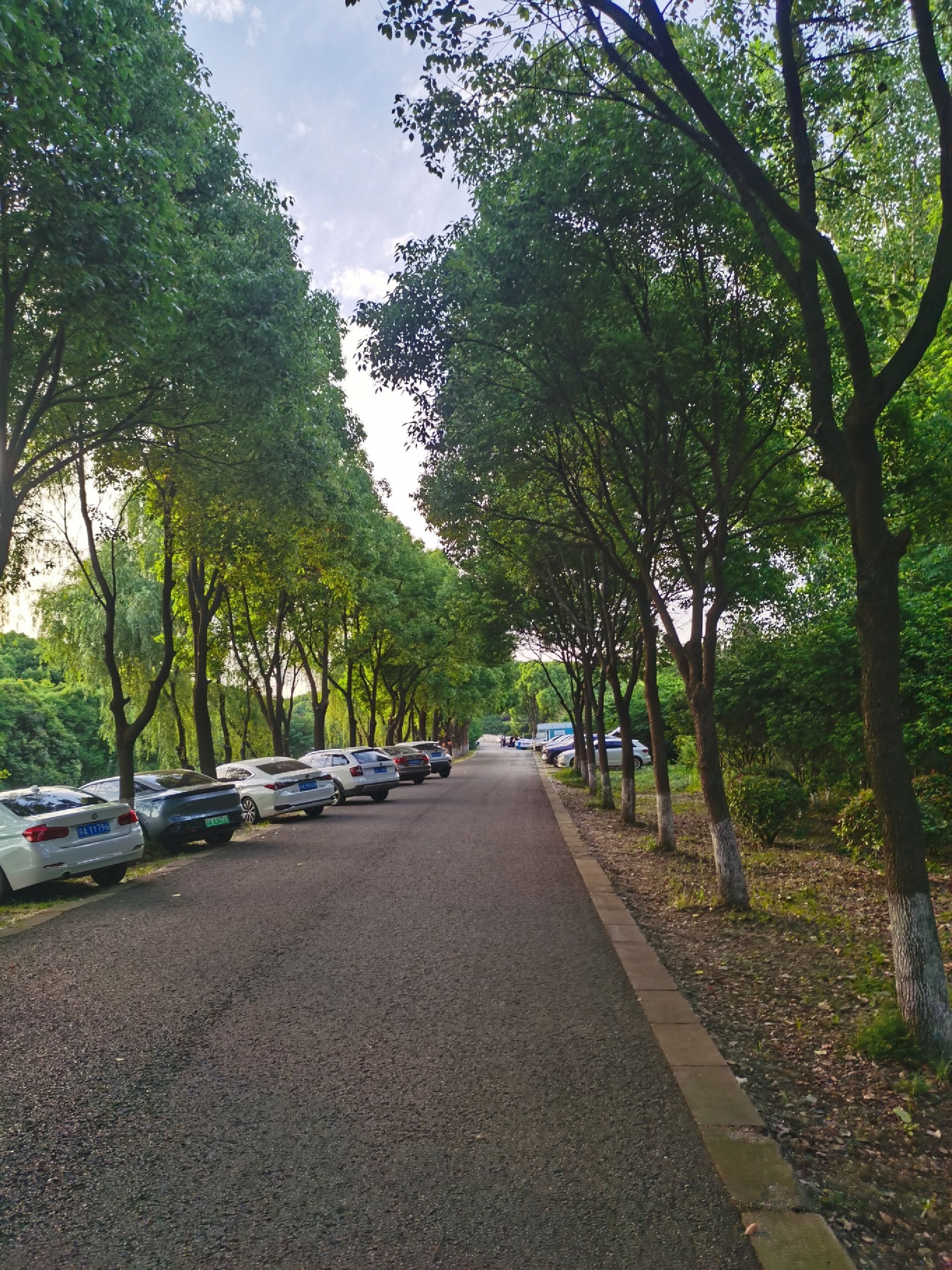 三桥湿地公园旅行图片 1