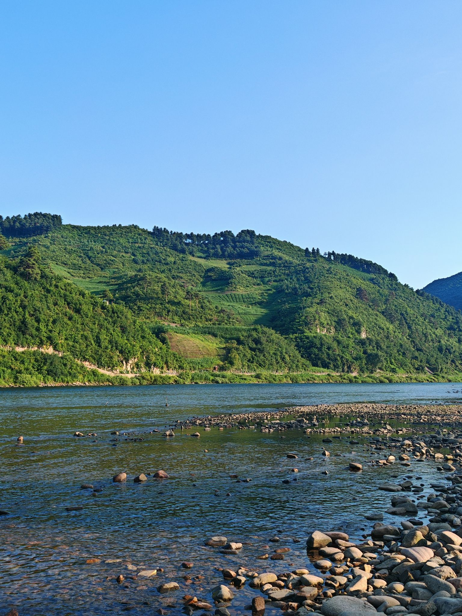 老鳖炕湿地景区