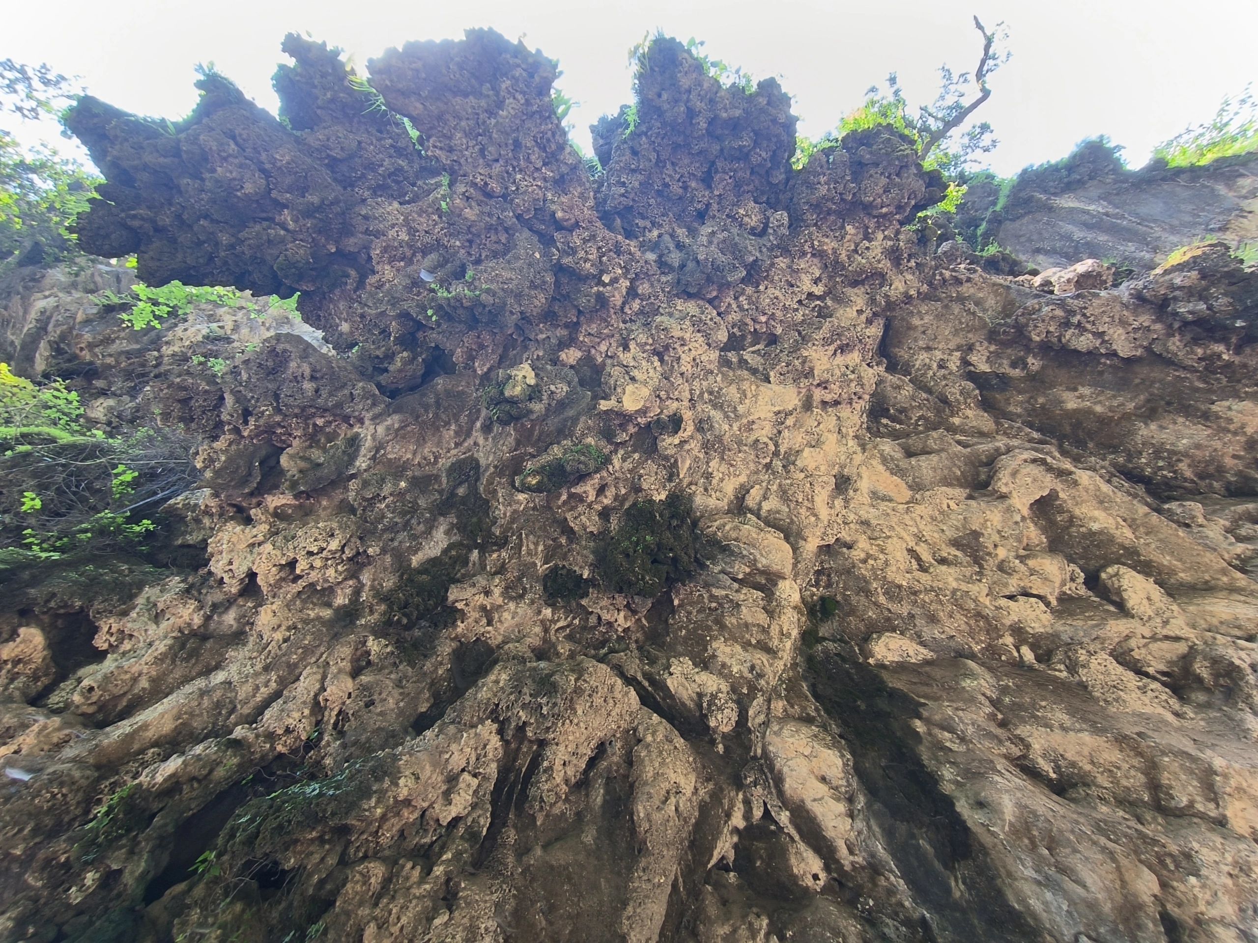 箐河瀑布旅行图片 3
