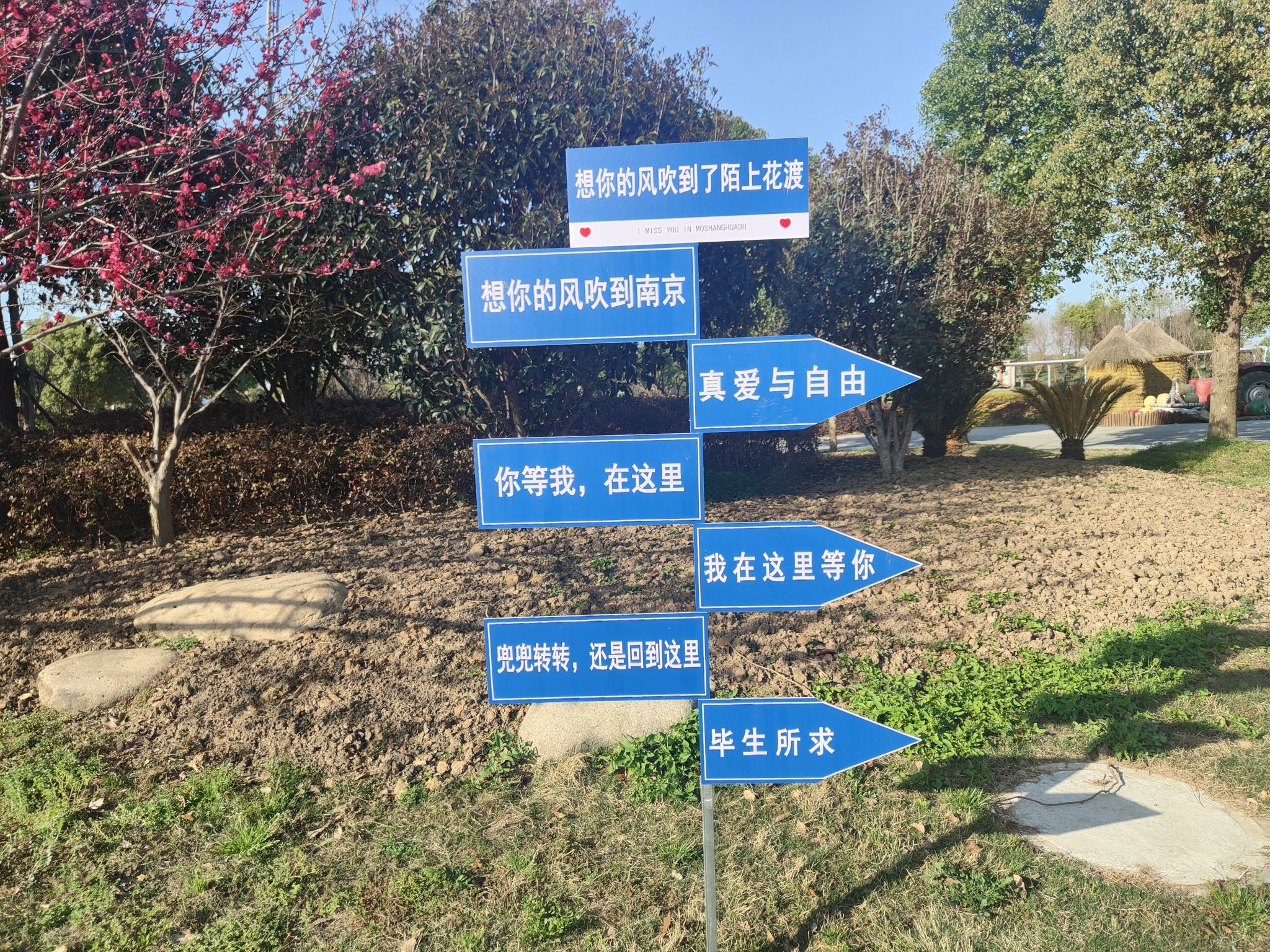 陌上花渡旅行图片 1