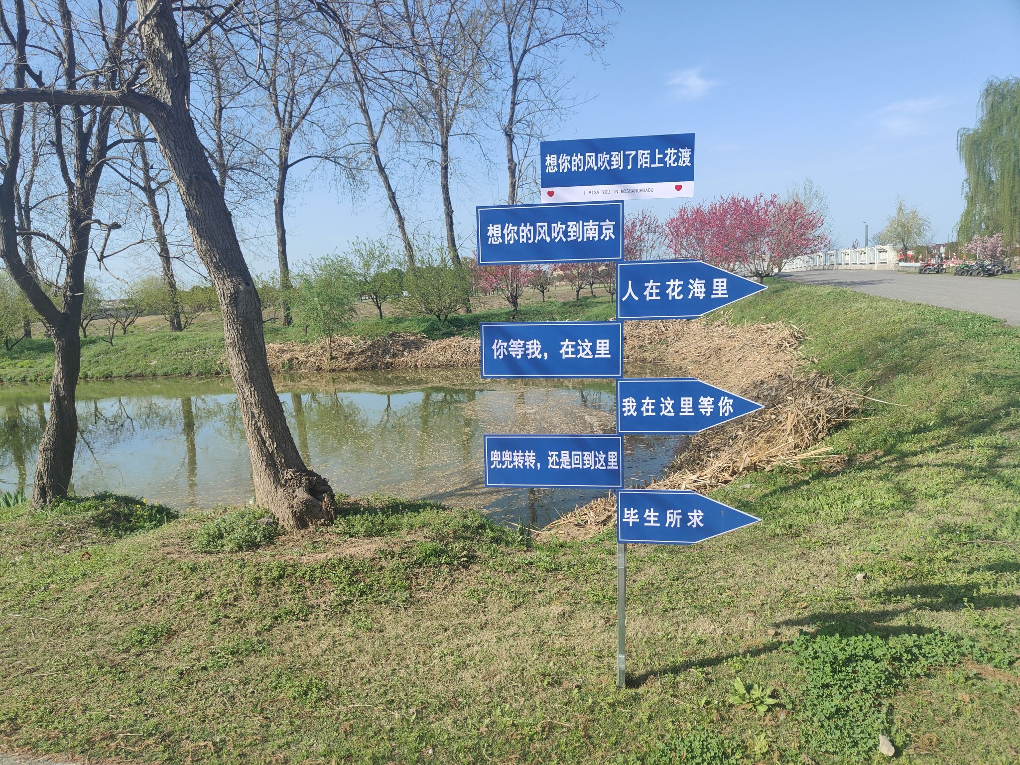 陌上花渡旅行图片 3
