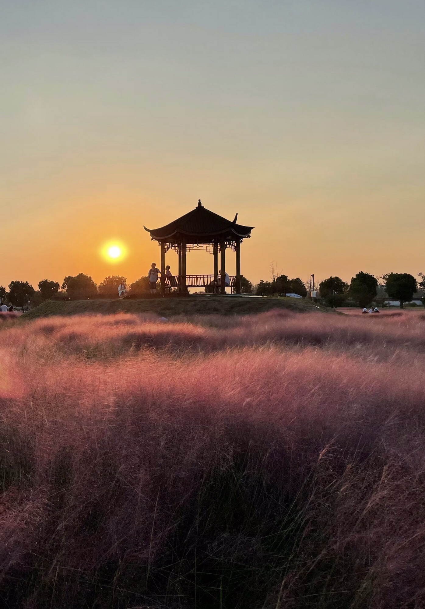 陌上花渡旅行图片 3